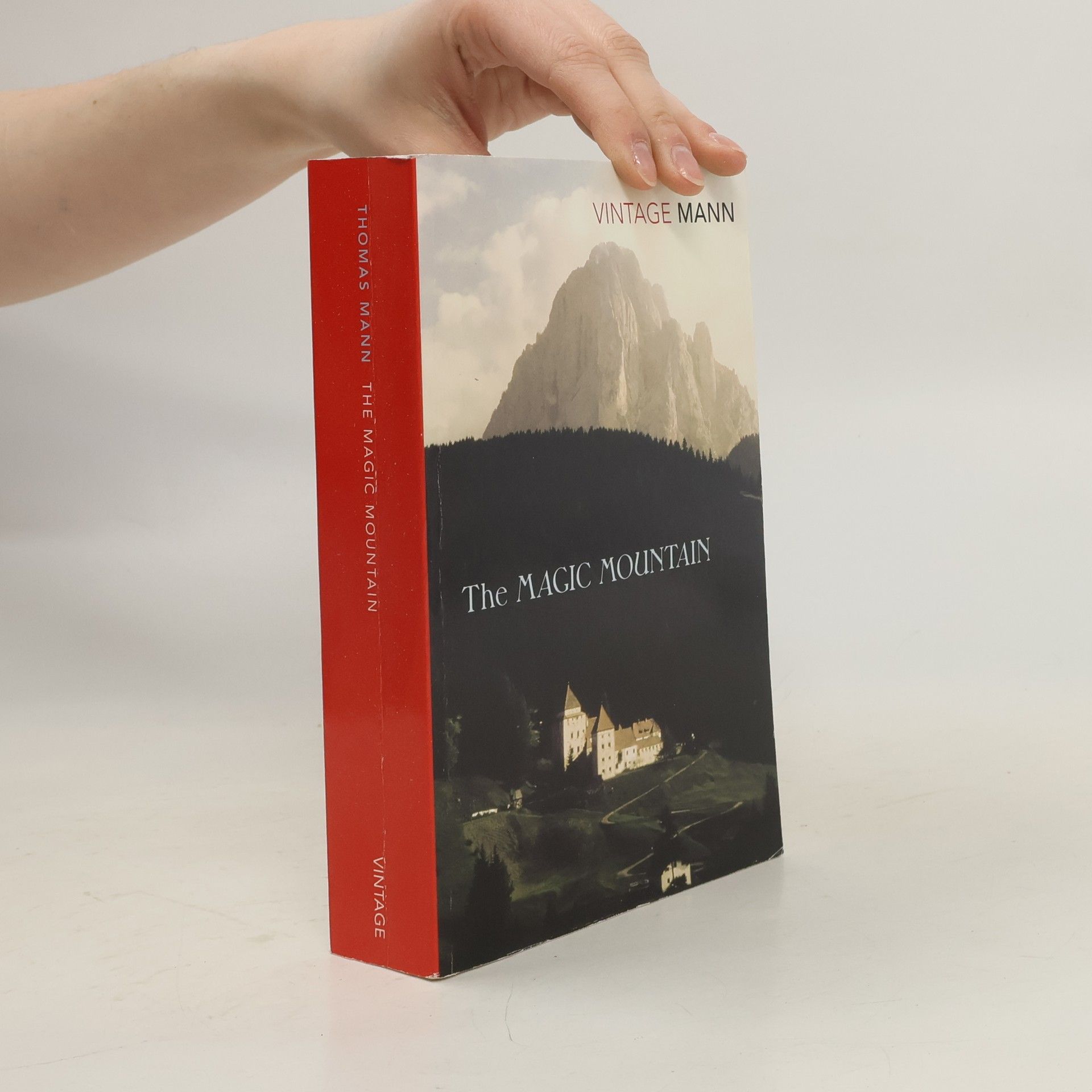 Thomas Mann The Magic Mountain