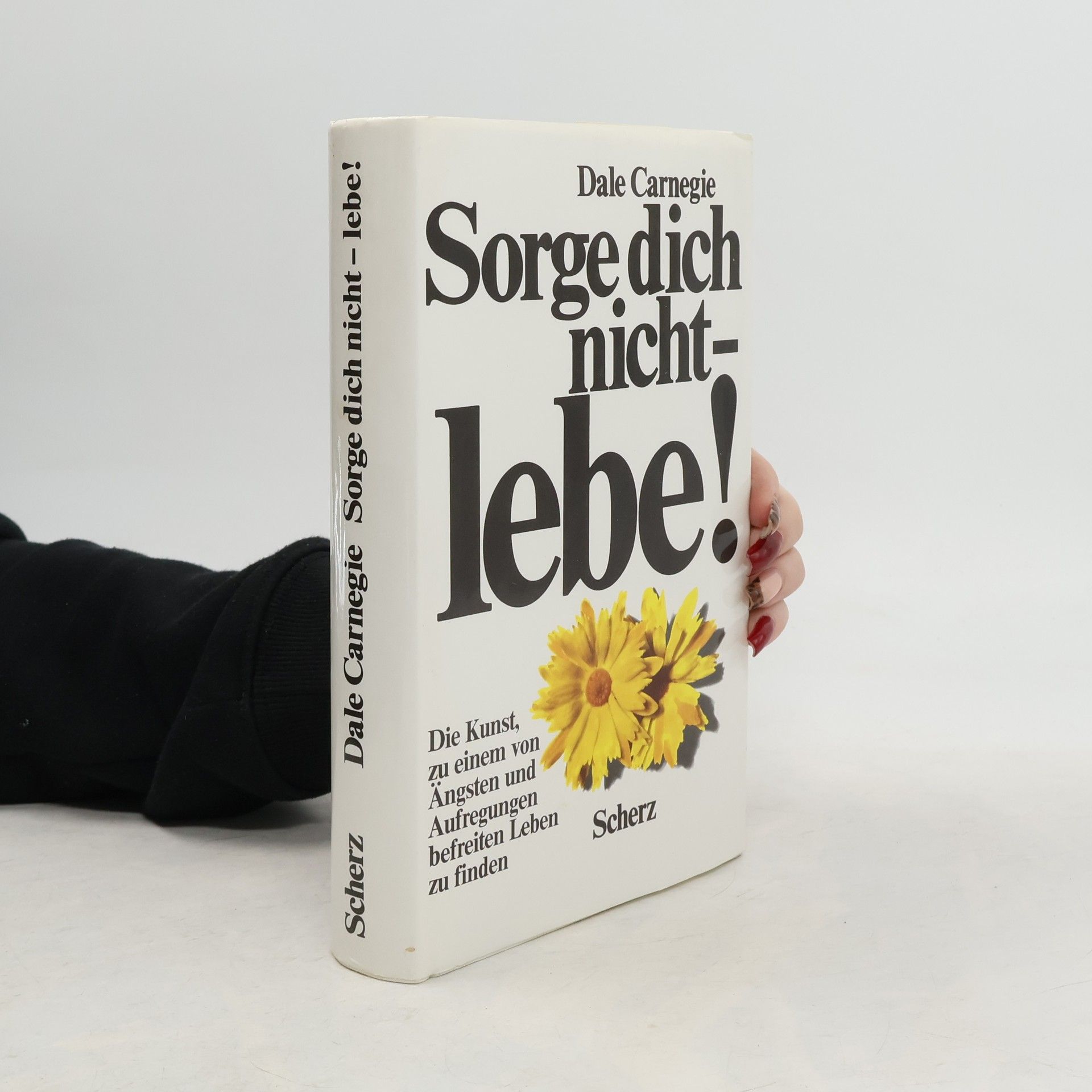 Dale Carnegie Sorge dich nicht - lebe!