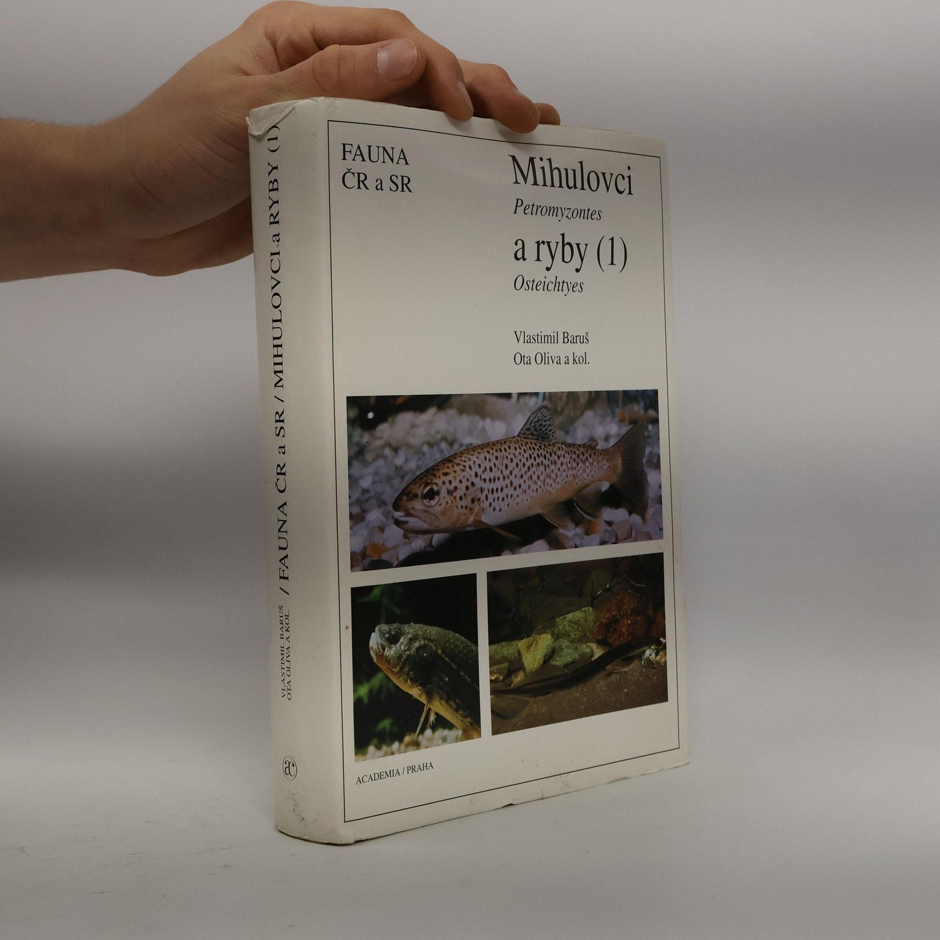 kolektiv Mihulovci a ryby. 1. díl