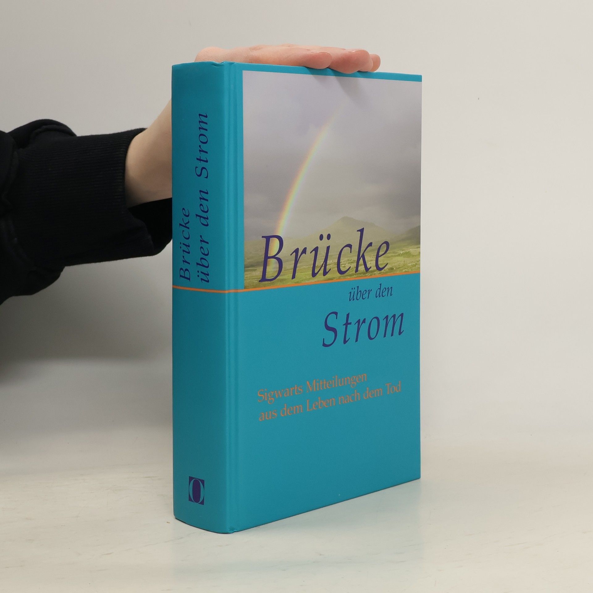 Friedrich Herbert Hillringhaus Brücke über den Strom