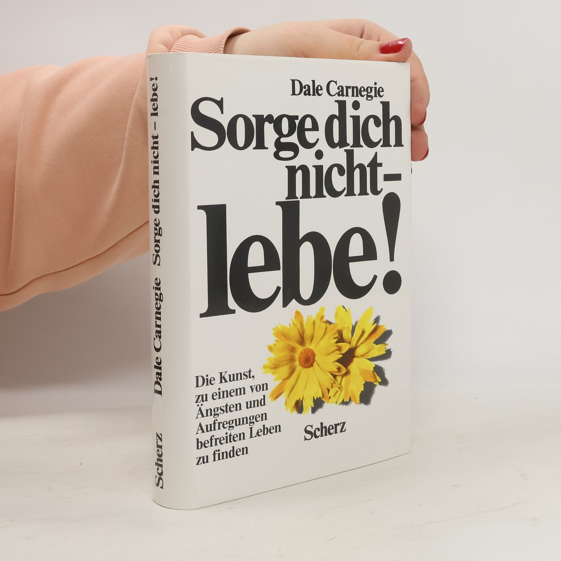Dale Carnegie Sorge dich nicht - lebe!