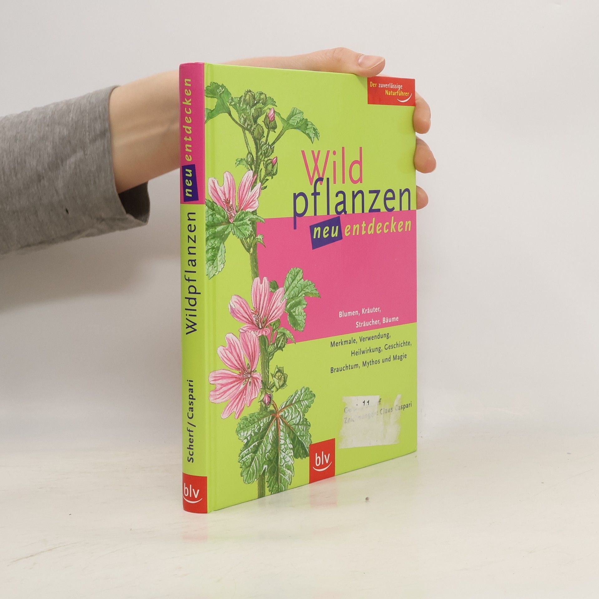 Gertrud Scherf Wildpflanzen neu entdecken