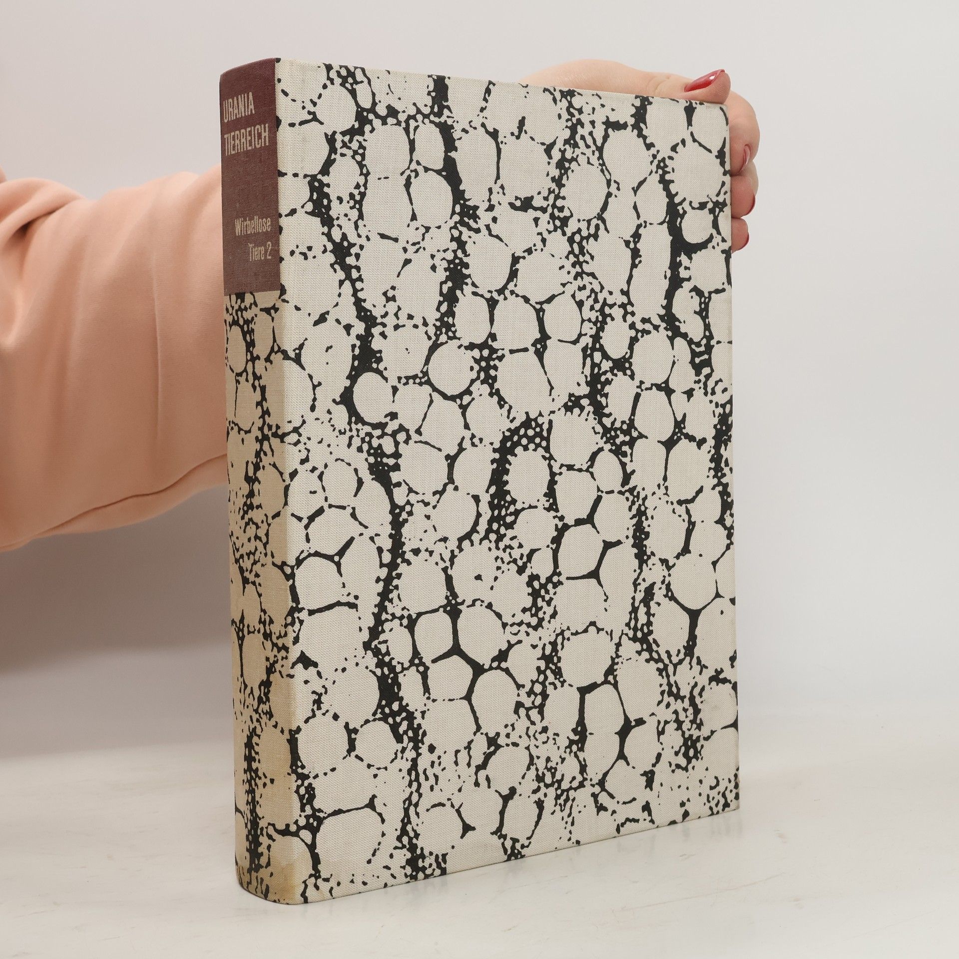 Hans Petzsch Urania Tierreich. Wirbellose Tiere 2