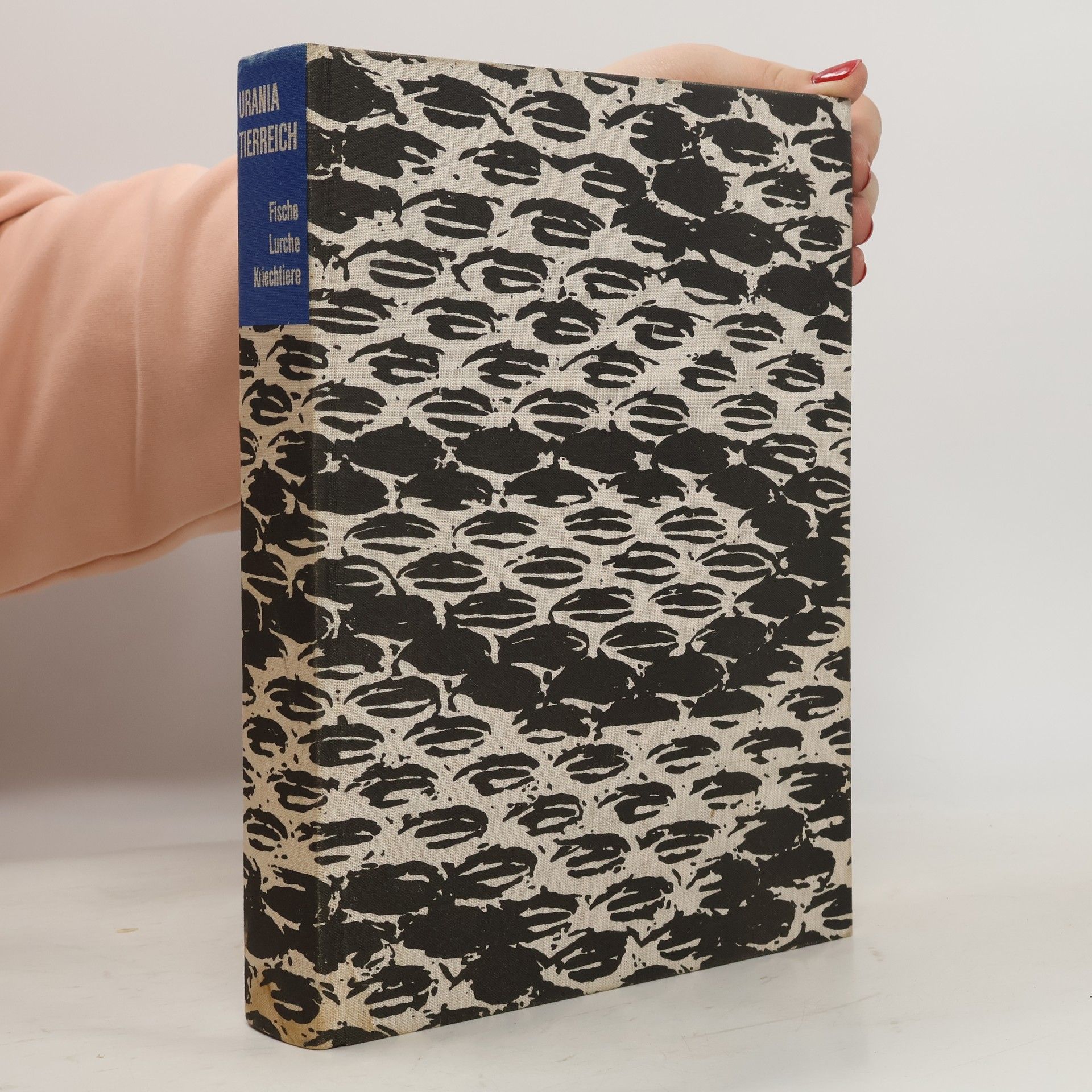 Autorenkollektiv Urania Tierreich. Fische, Lurche, Kriechtiere