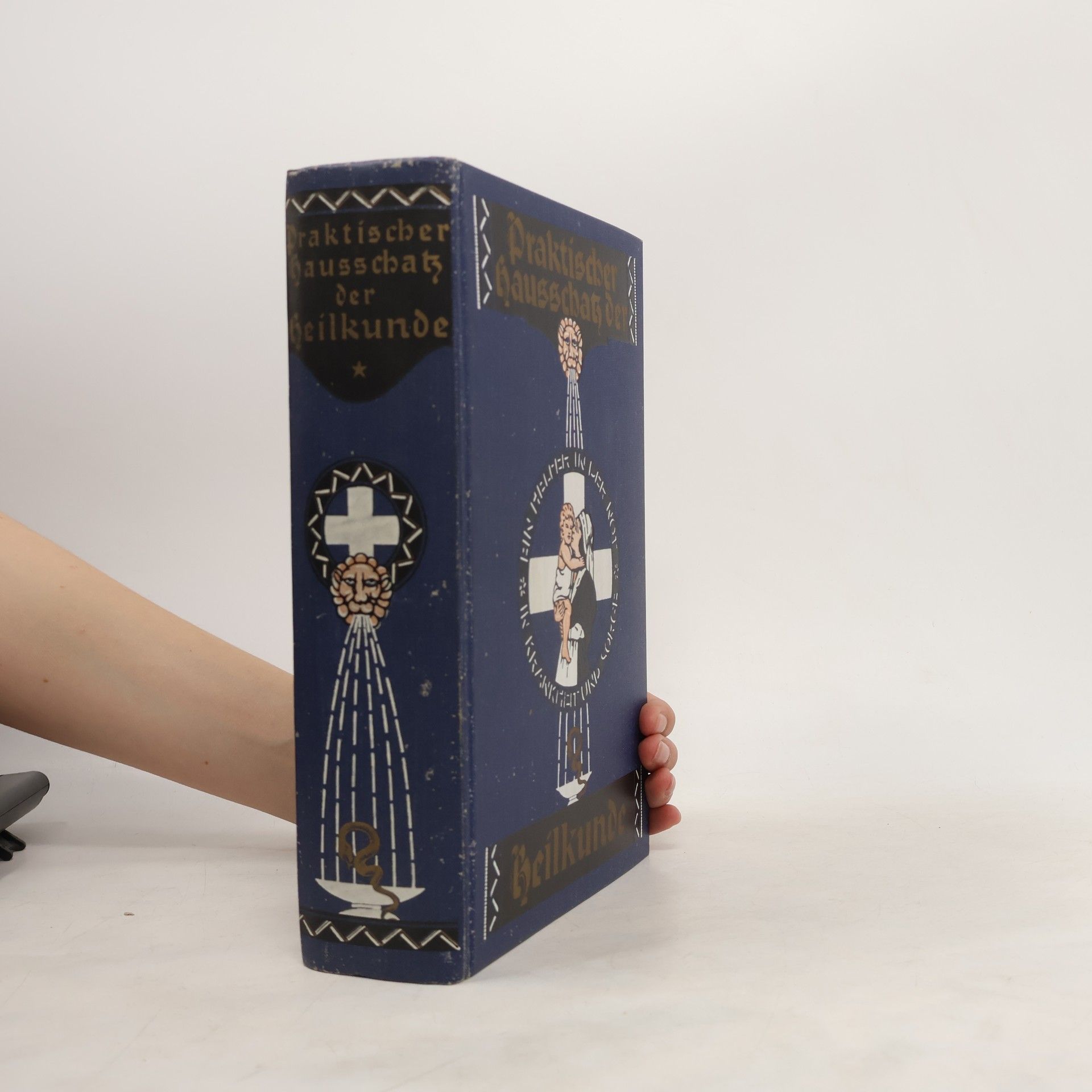 Autorenkollektiv Praktischer Hausschatz der Heilkunde