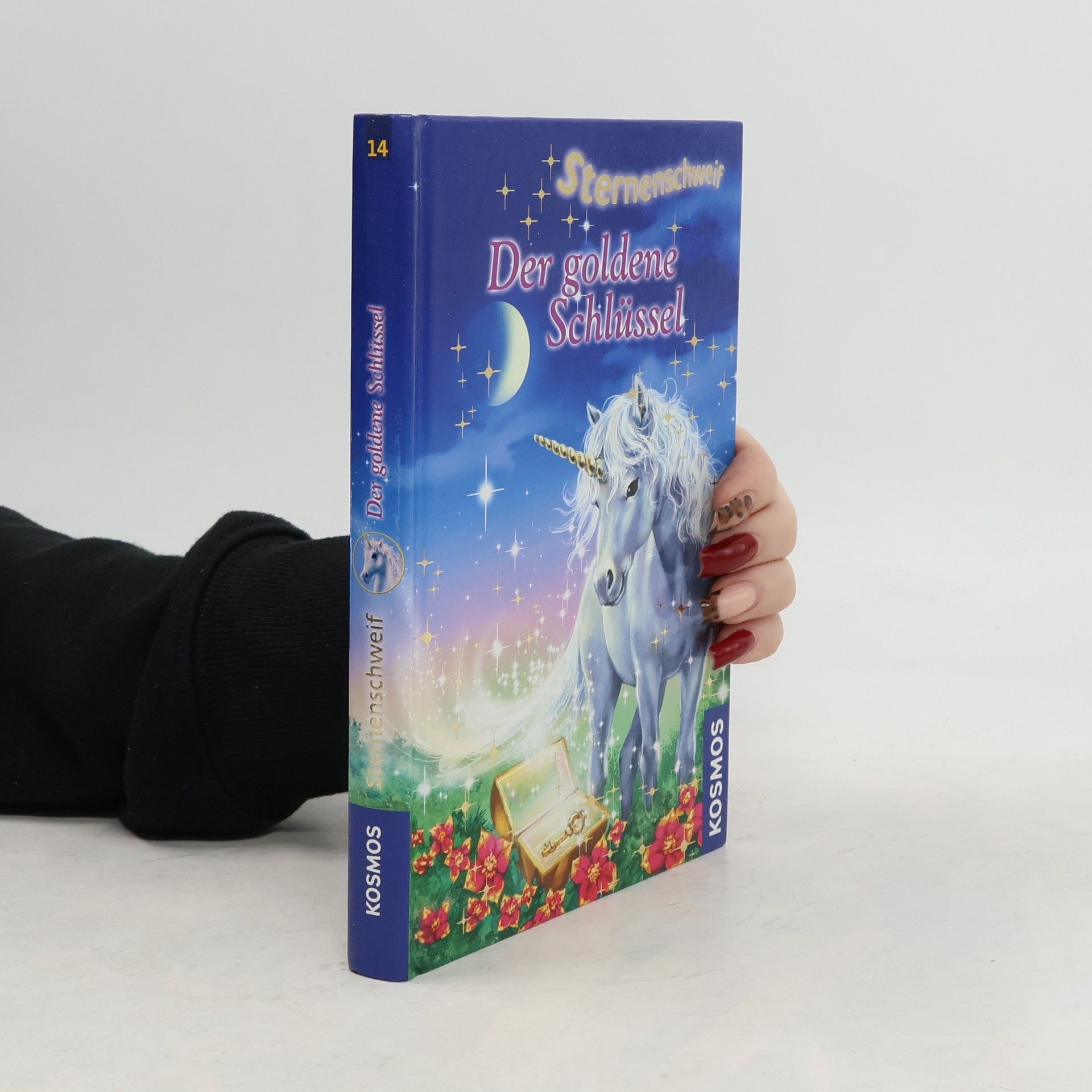 Linda Chapman Sternenschweif. Der goldene Schlüssel 14
