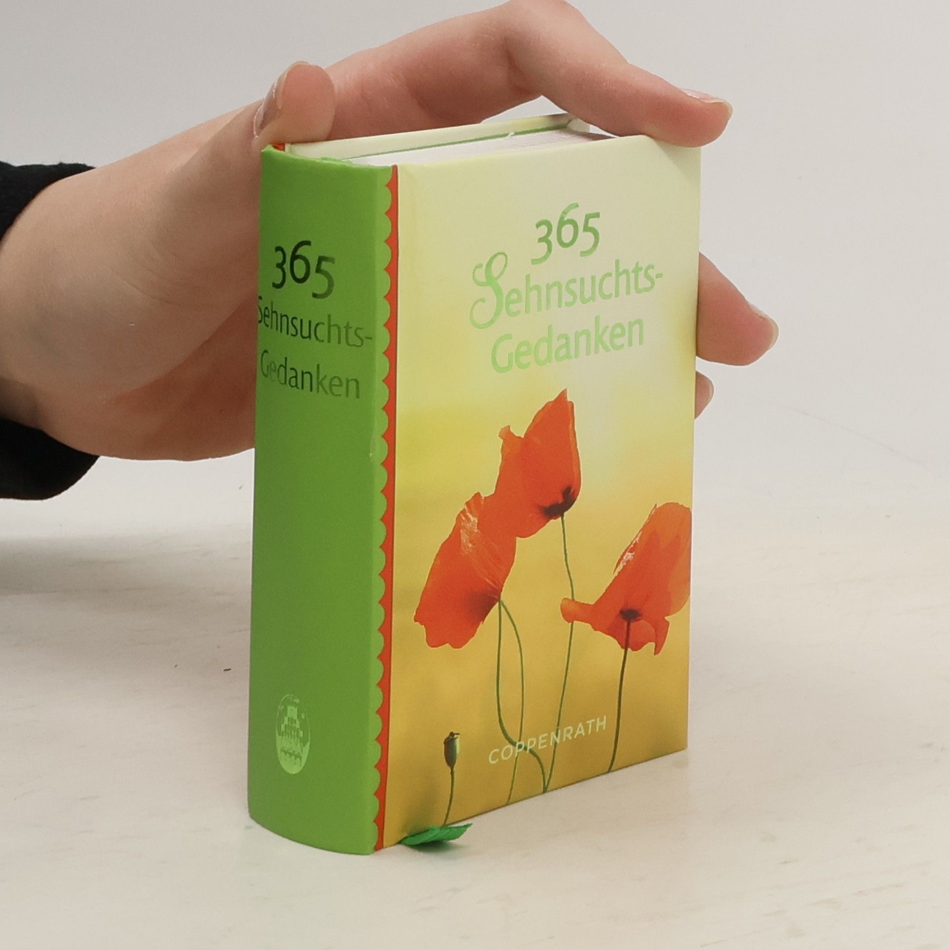 Nicolas Martin Dreihundertfünfundsechzig Sehnsuchts-Gedanken