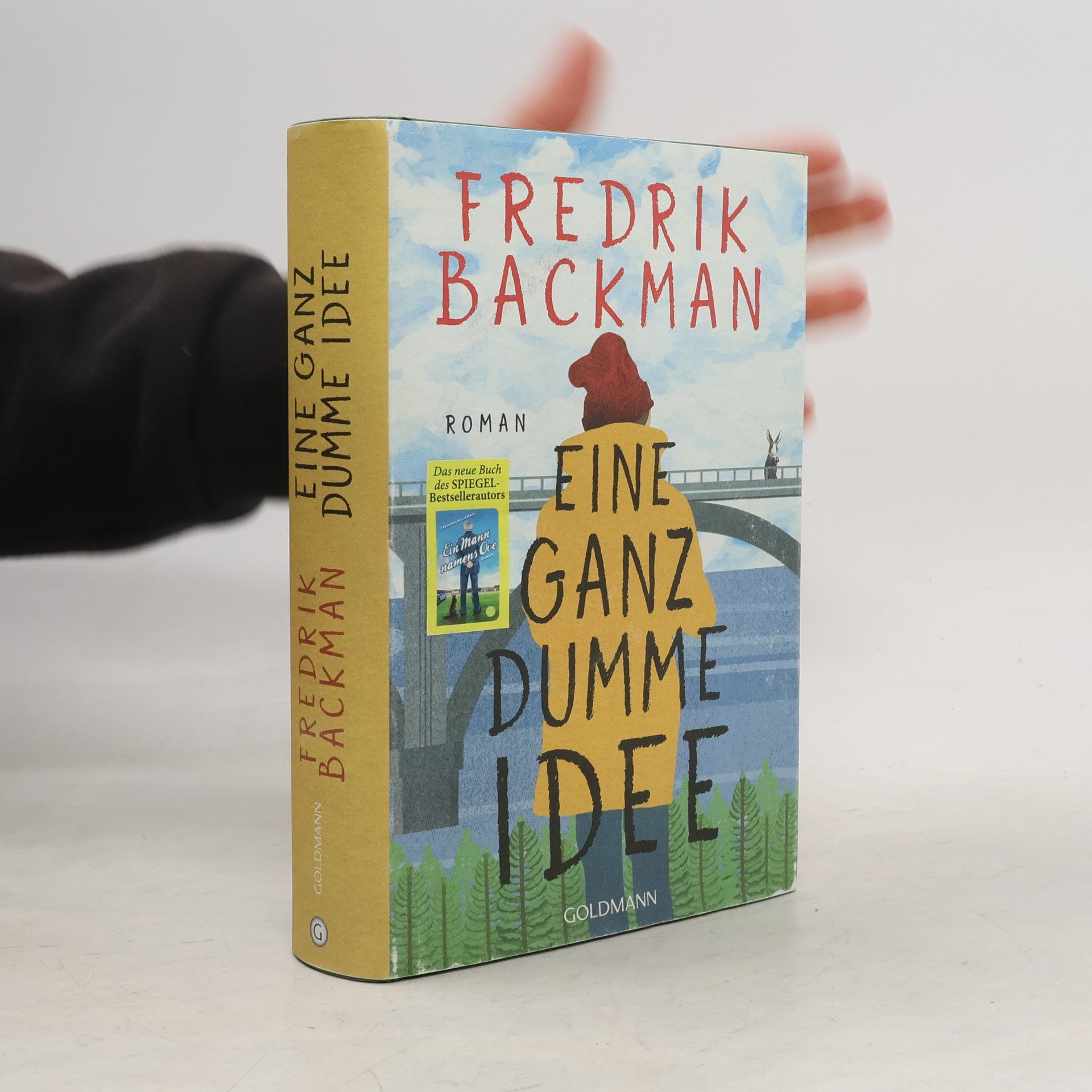 Fredrik Backman Eine Ganz dumme Idee