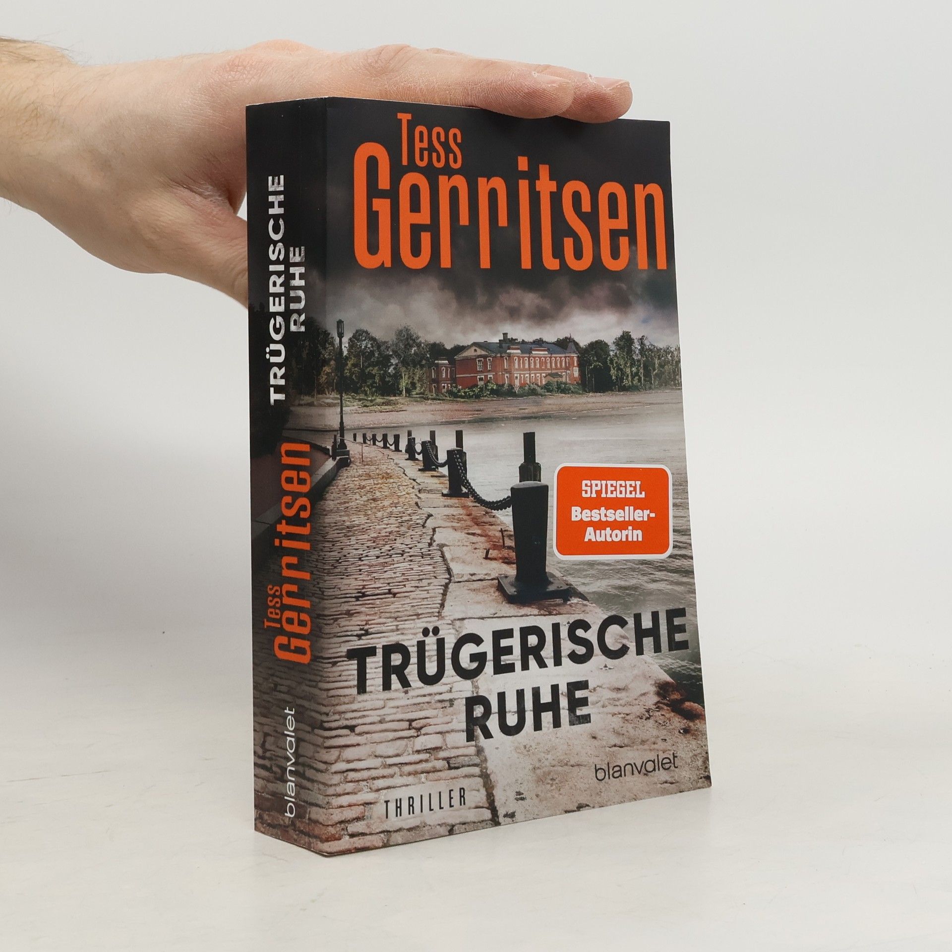 Tess Gerritsen Trügerische Ruhe
