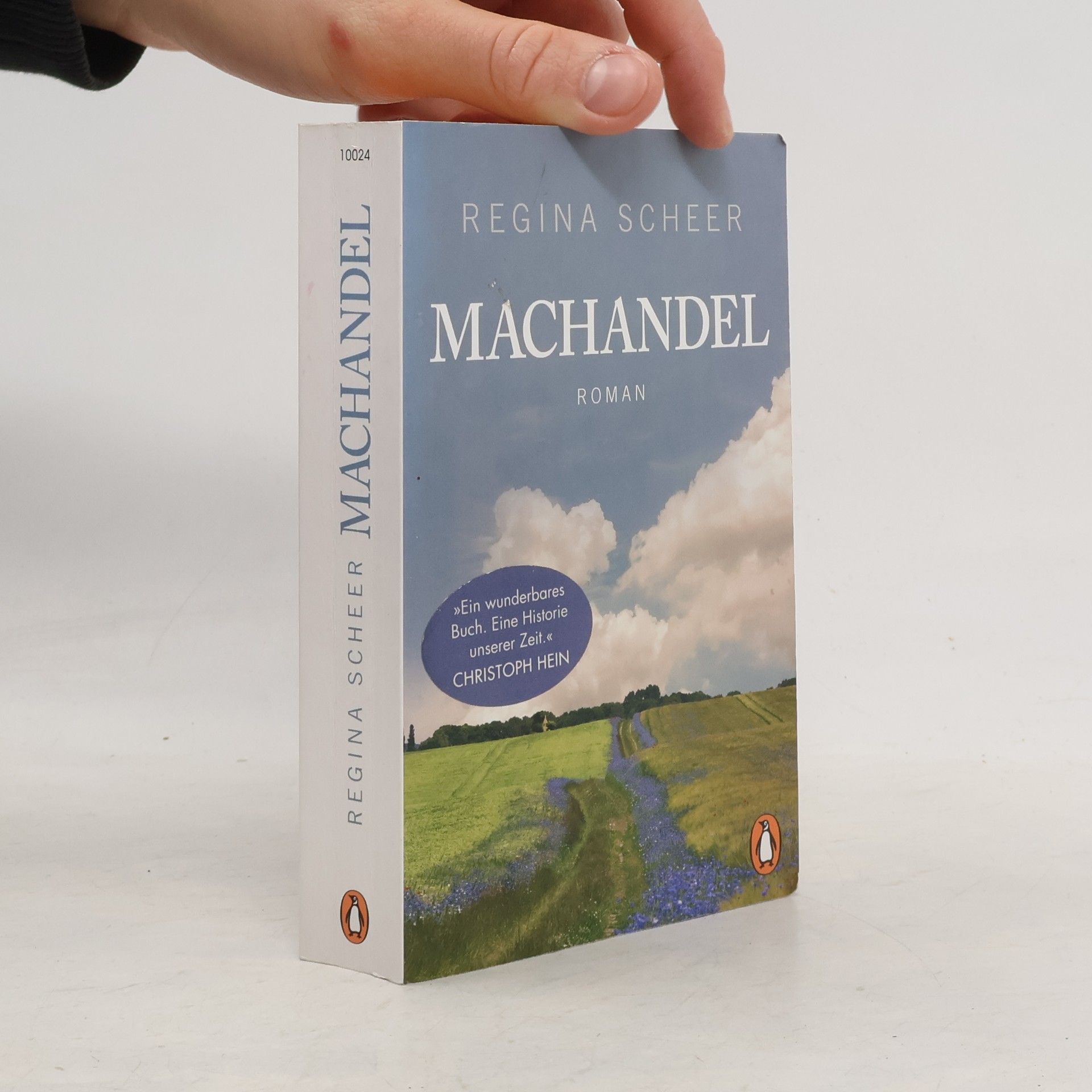 Regina Scheer Machandel