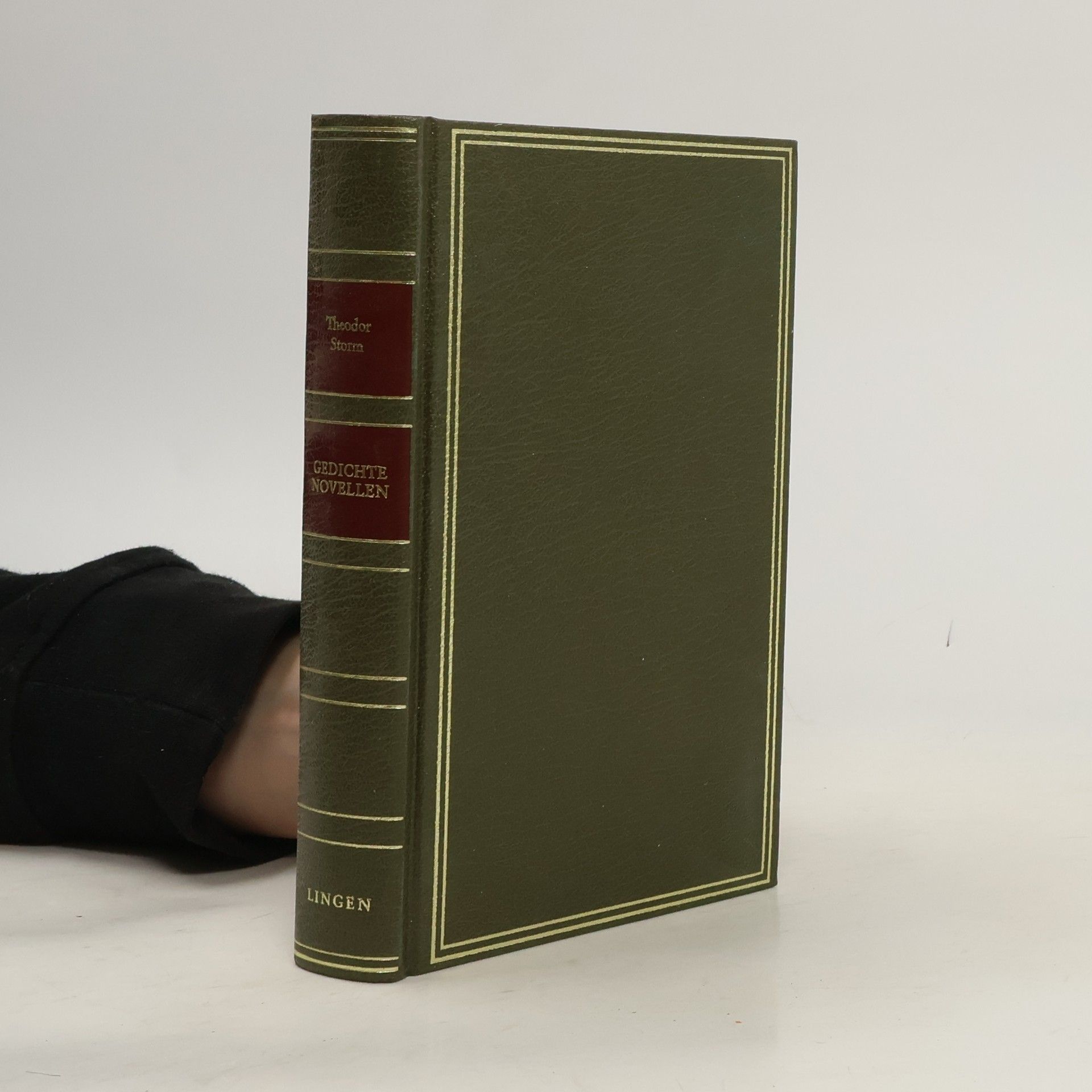 Theodor Storm Novellen. Gedichte