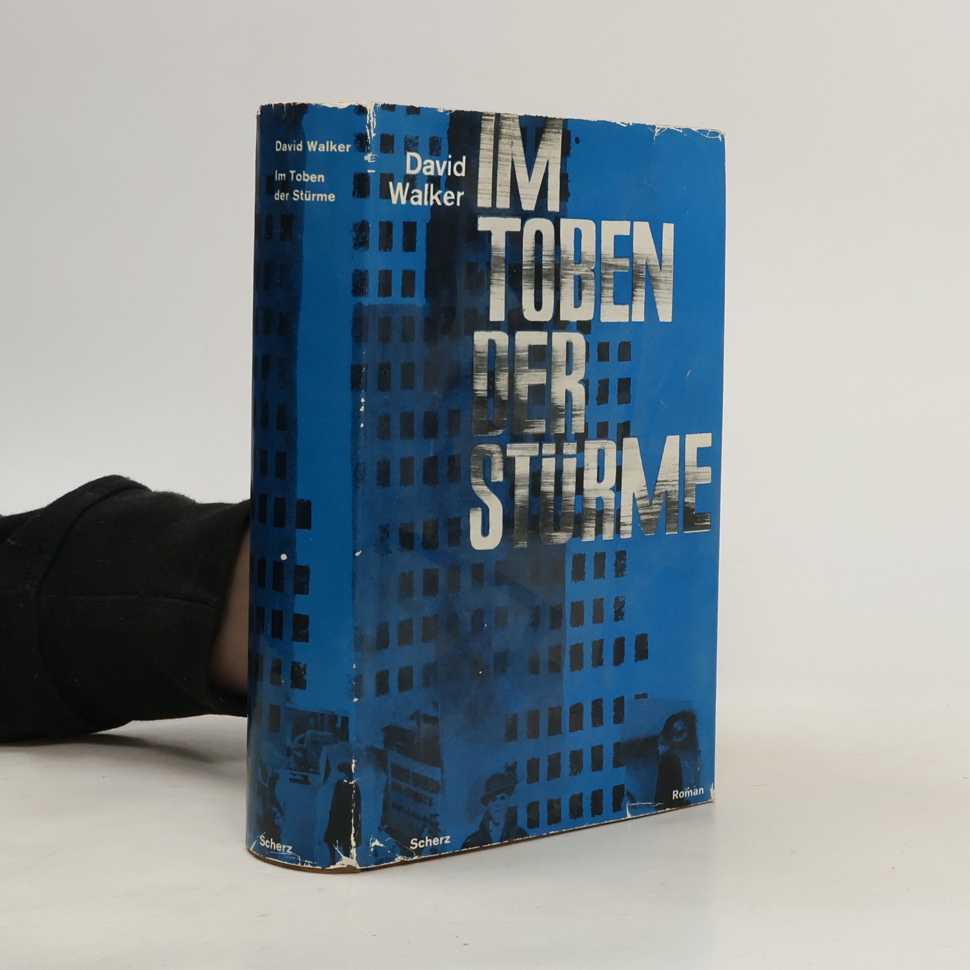 David Walker Im Toben der Stürme