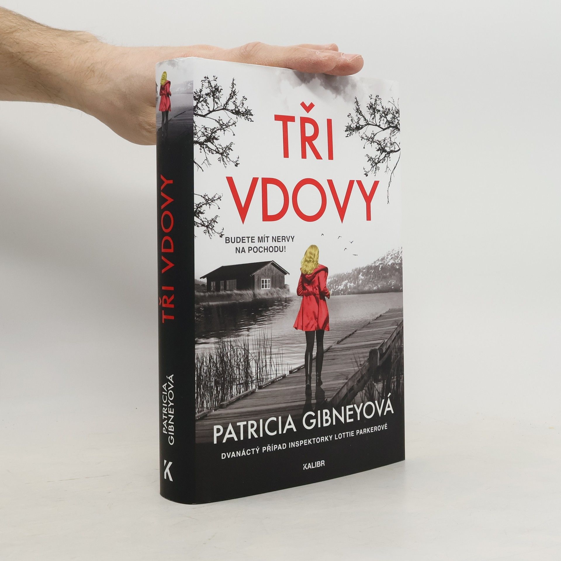 Patricia Gibney Tři vdovy