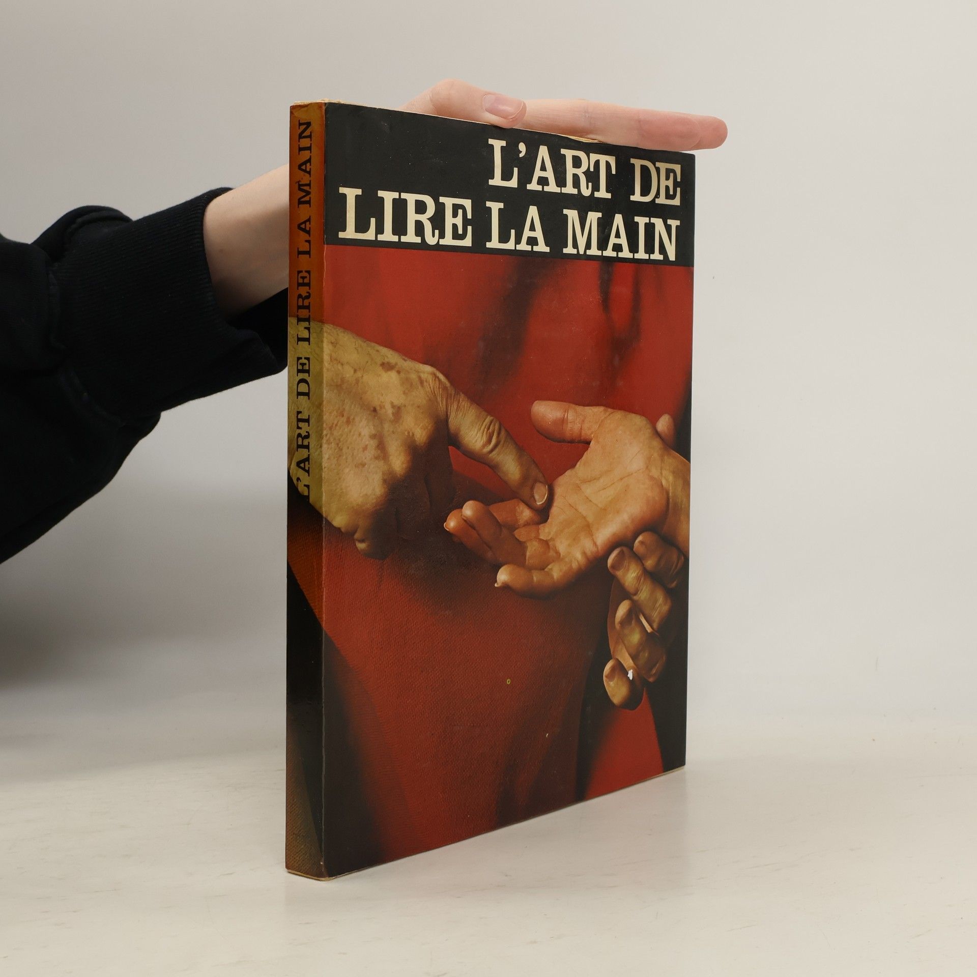 Jean-Michel Morgan L'art de lire la main