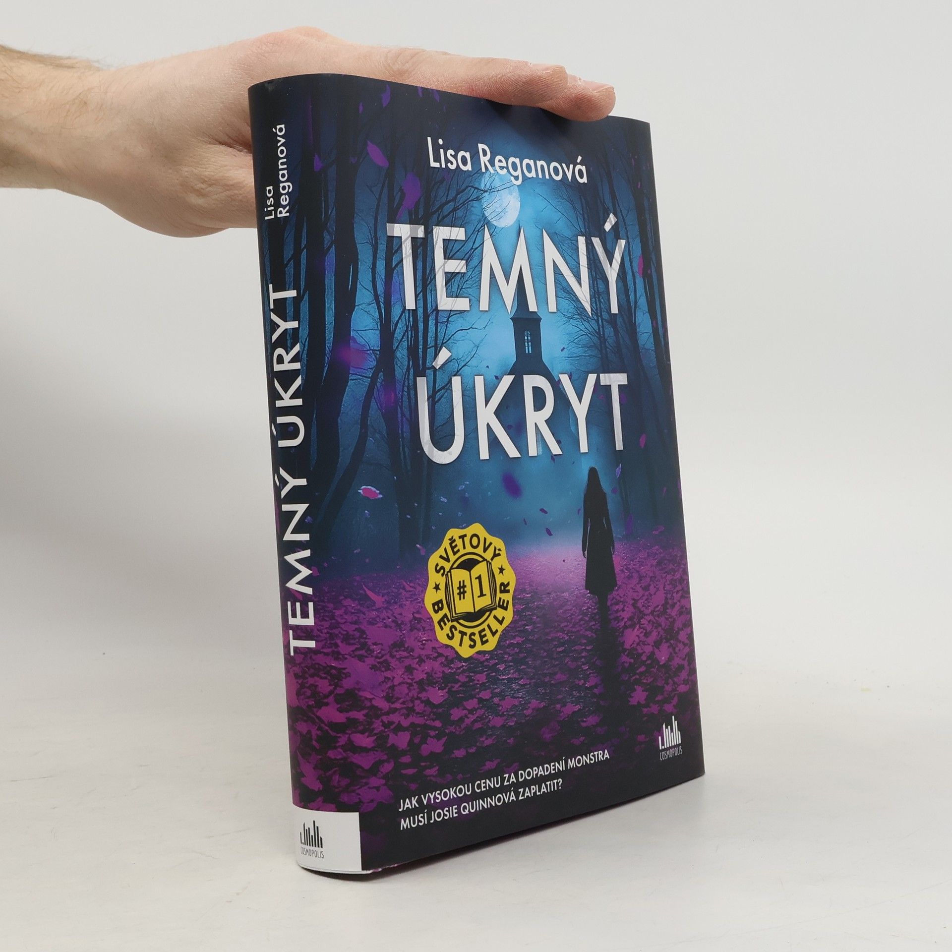 Lisa Regan Temný úkryt