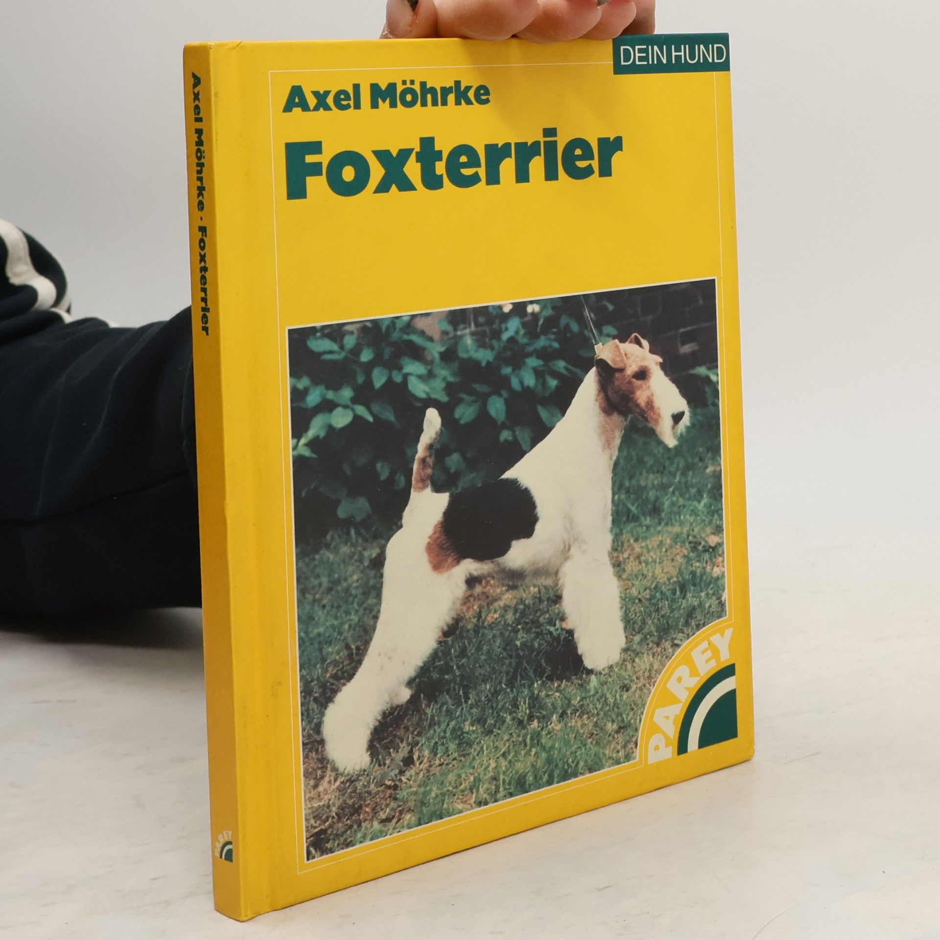 Axel Möhrke Foxterrier