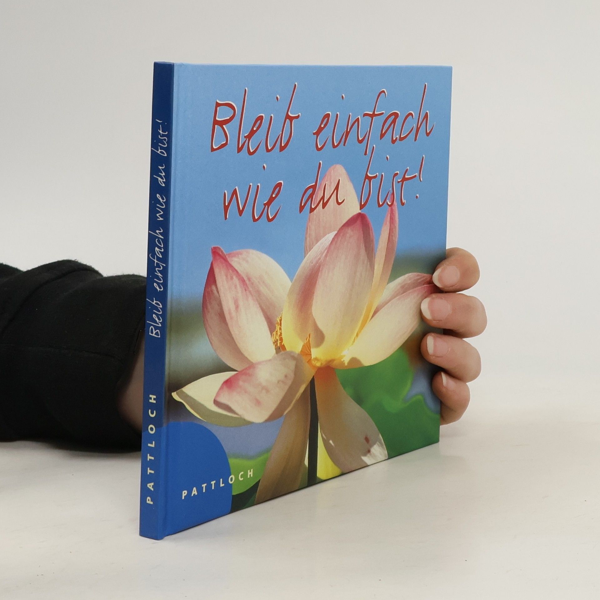 Autorenkollektiv Nimm dich, wie du bist