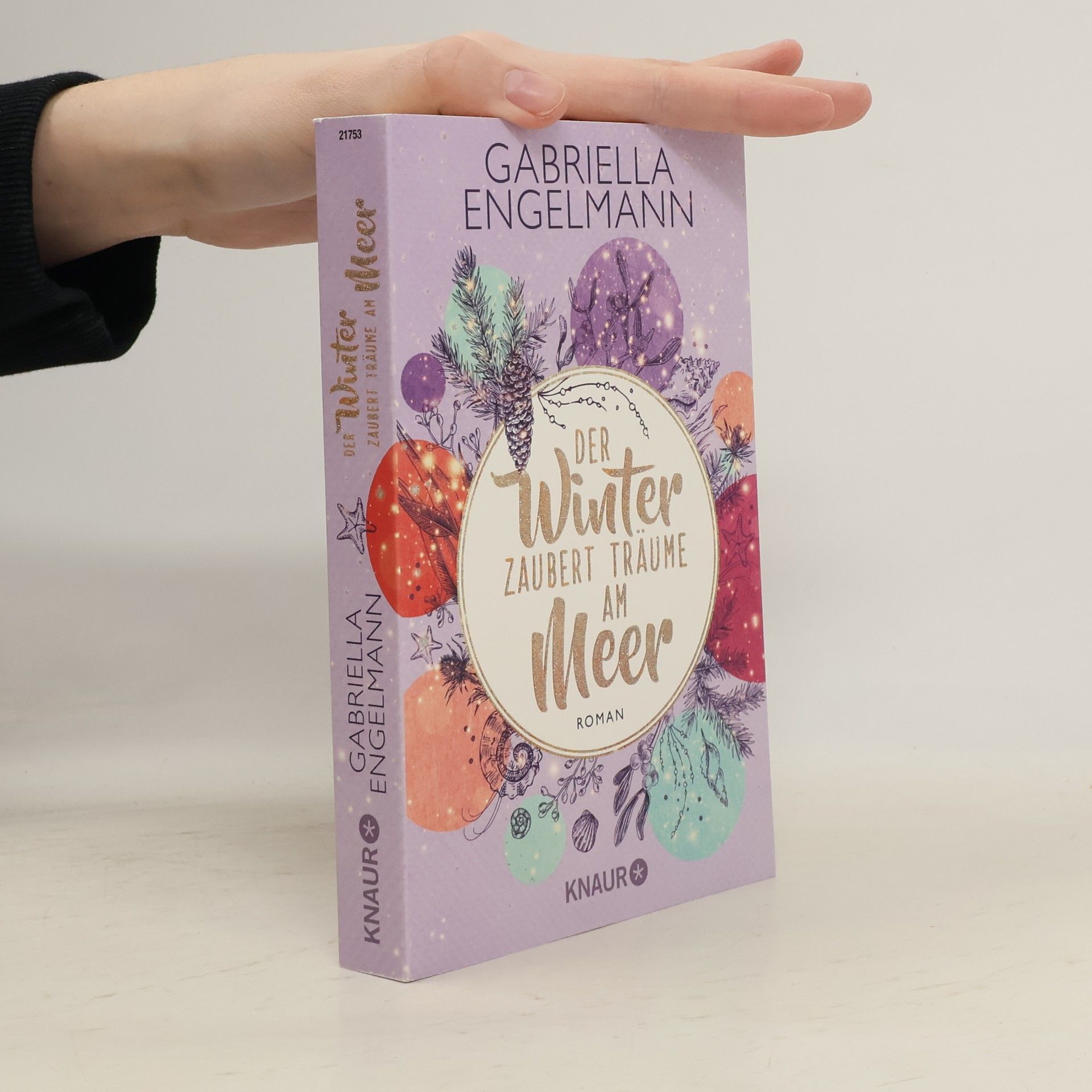 Gabriella Engelmann Der Winter zaubert Träume am Meer / Zauberhaftes Lütteby Bd.4