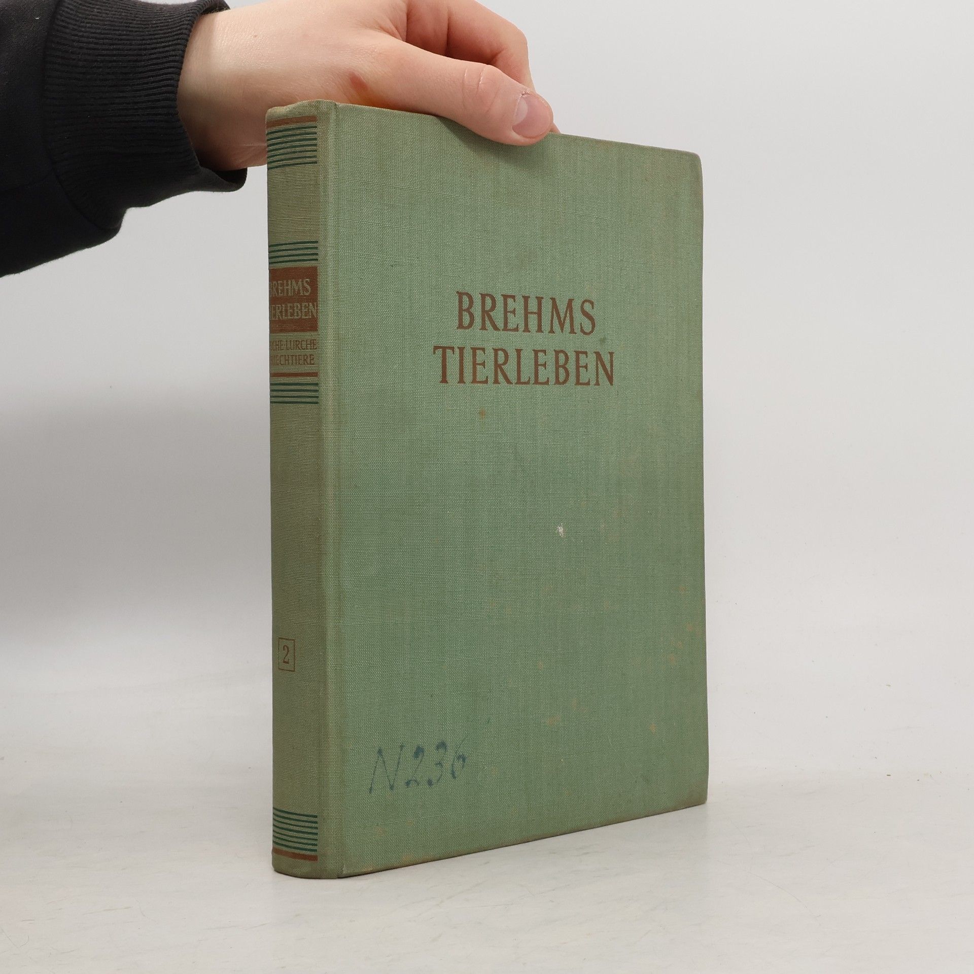 Walter Rammer Brehms Tierleben 4