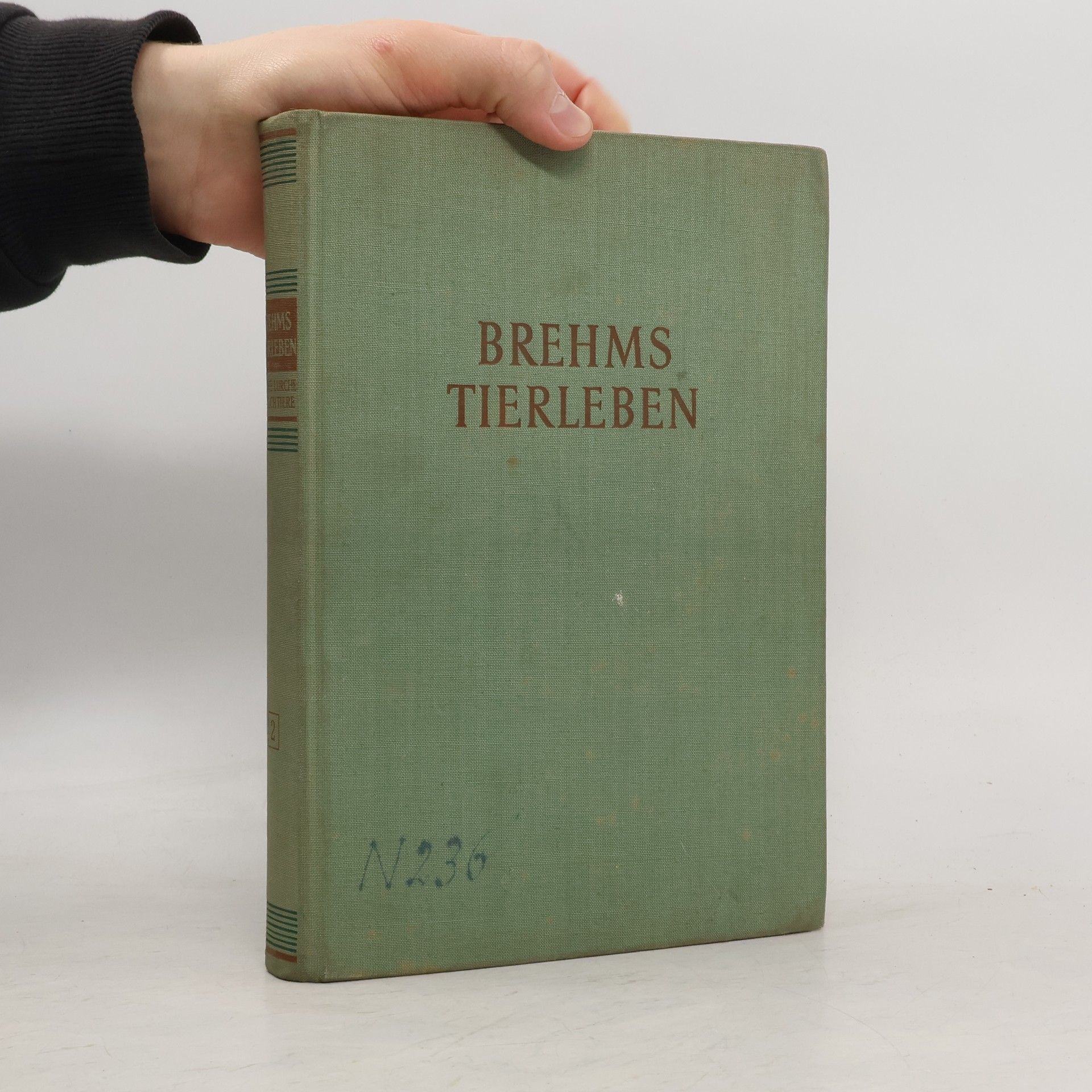 Walter Rammer Brehms Tierleben 4