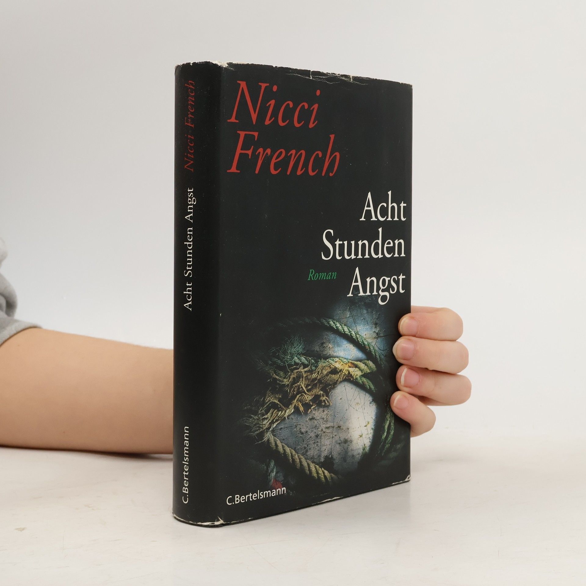 Nicci French Acht Stunden Angst