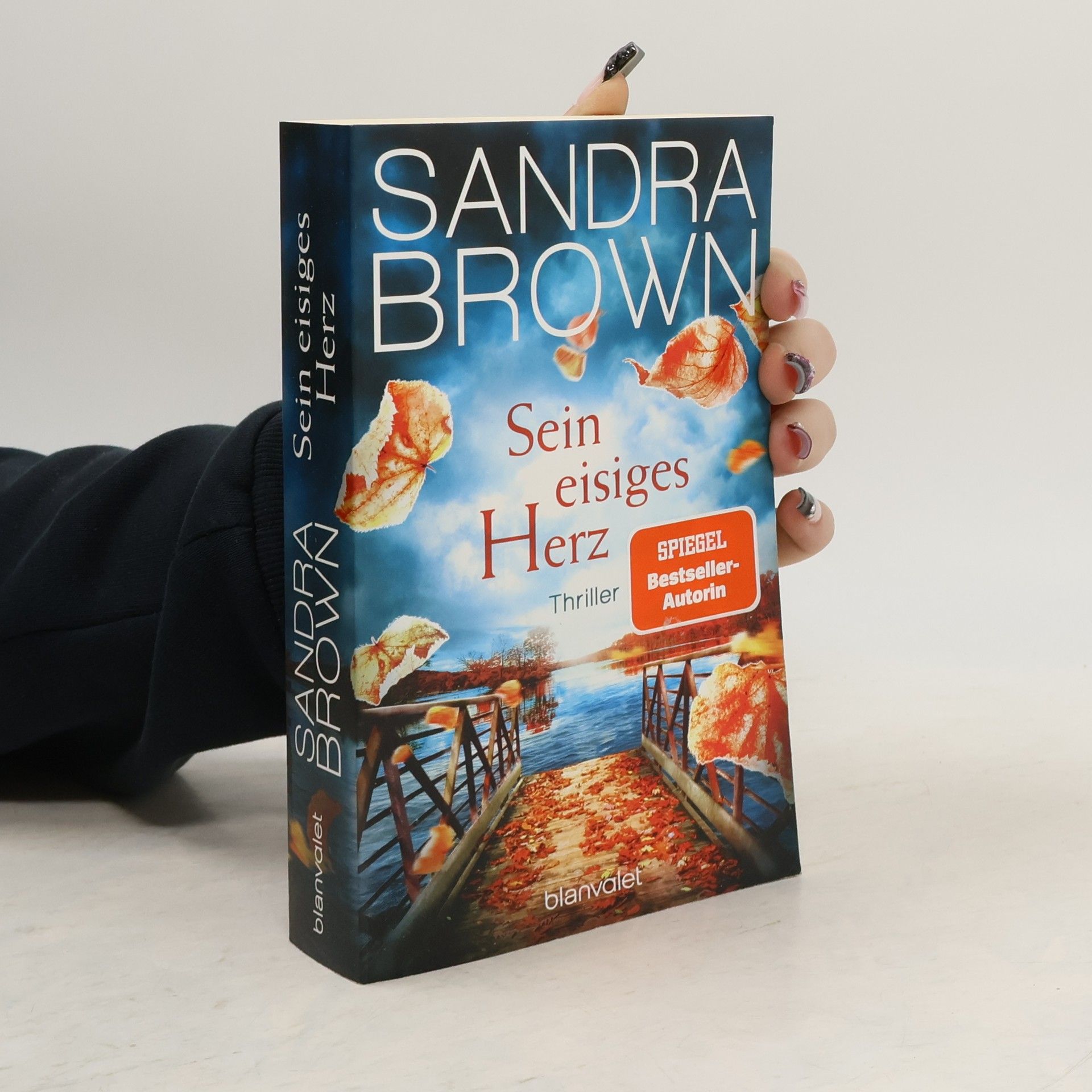 Sandra Brown Sein eisiges Herz