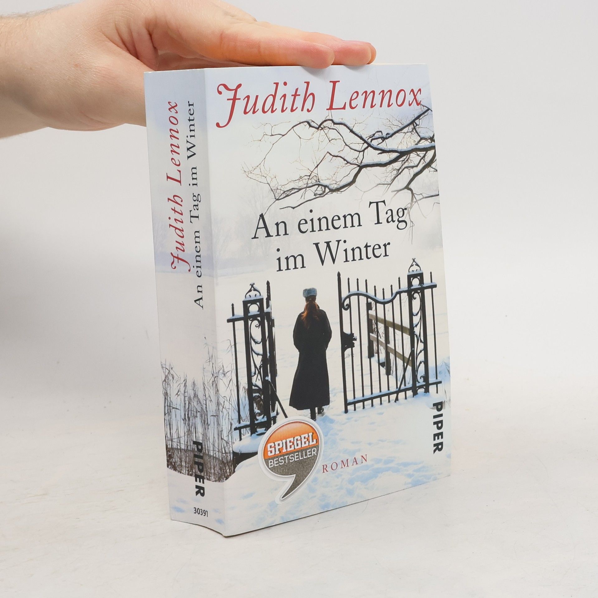 Judith Lennox An einem Tag im Winter