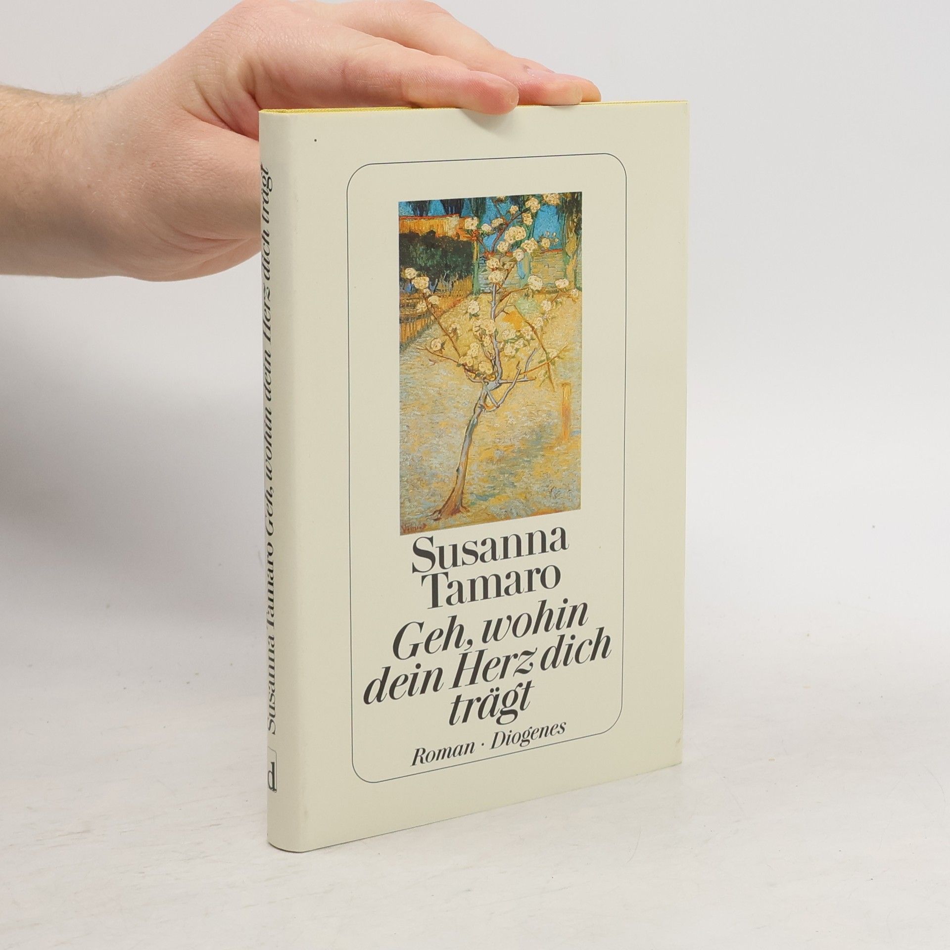 Susanna Tamaro Geh, wohin dein Herz dich trägt