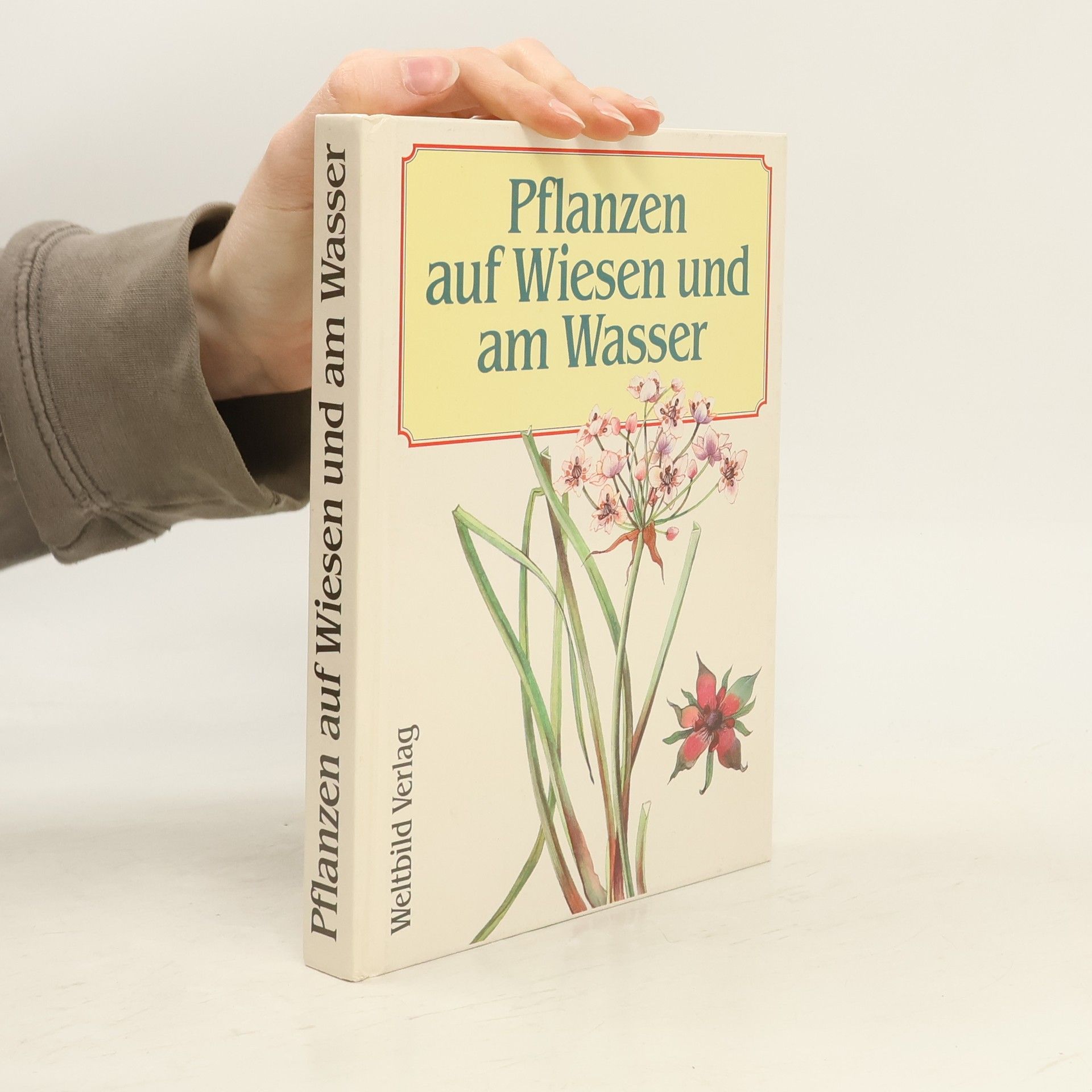 Václav Větvička Pflanzen auf Wiesen und am Wasser