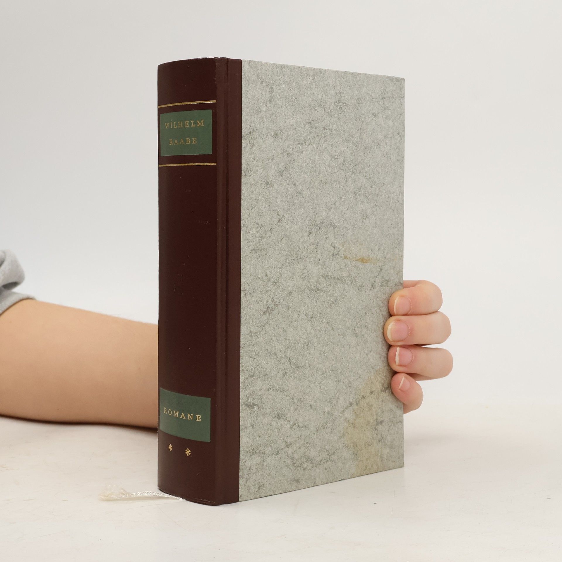Wilhelm Raabe Gesammelte Romane 2