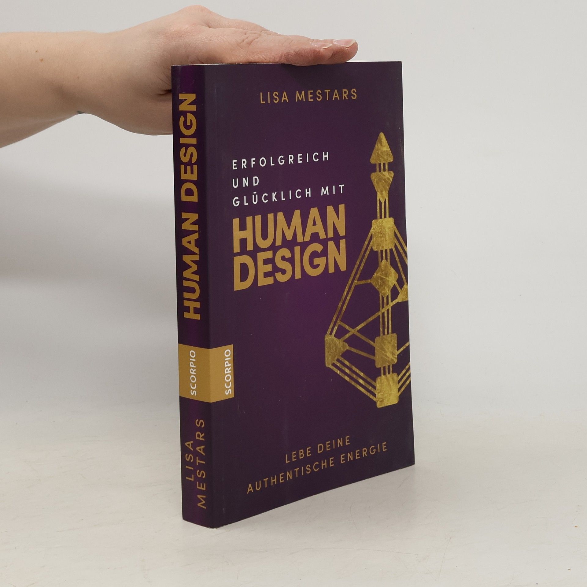 Lisa Mestars Erfolgreich und glücklich mit Human Design