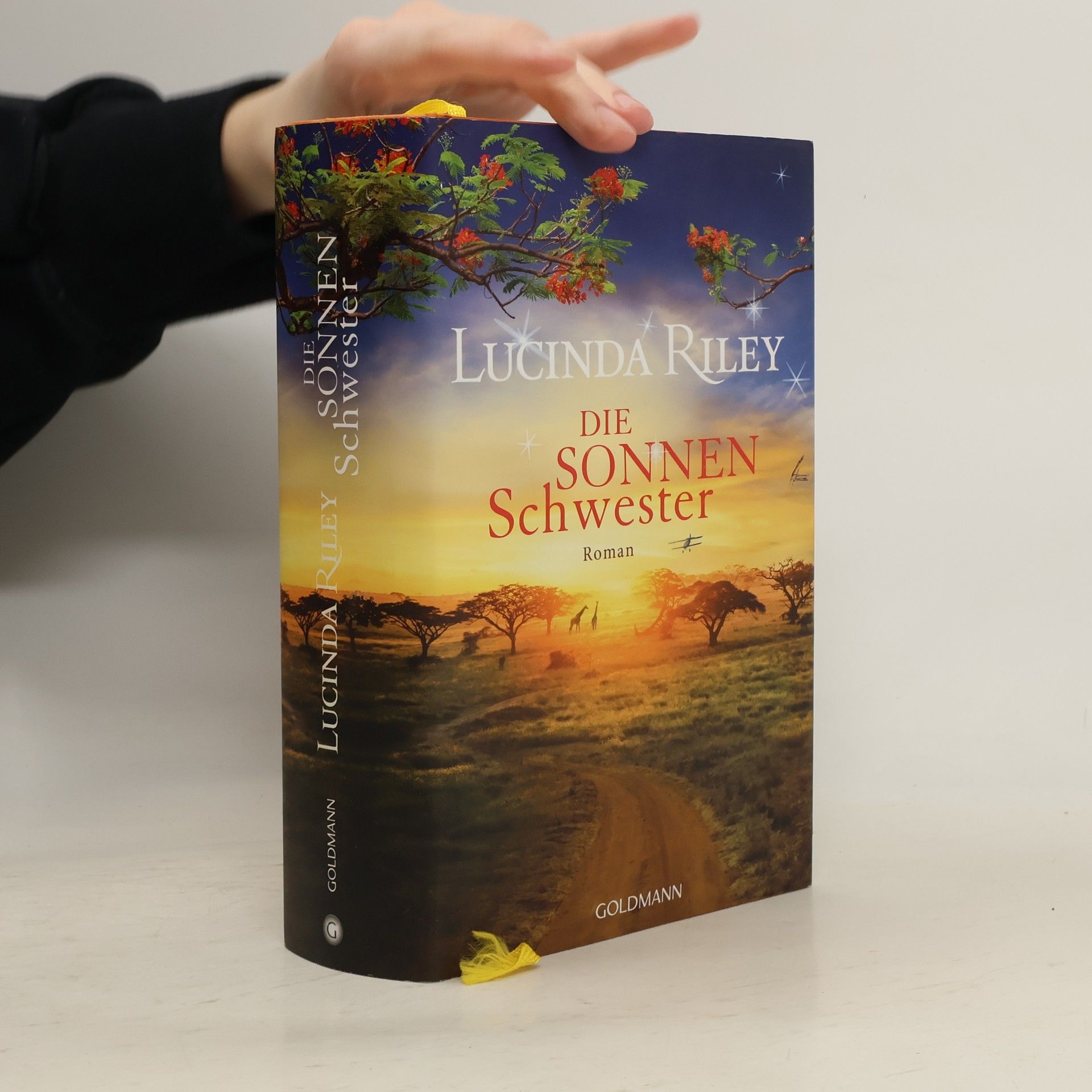 Lucinda Riley Die Sonnenschwester