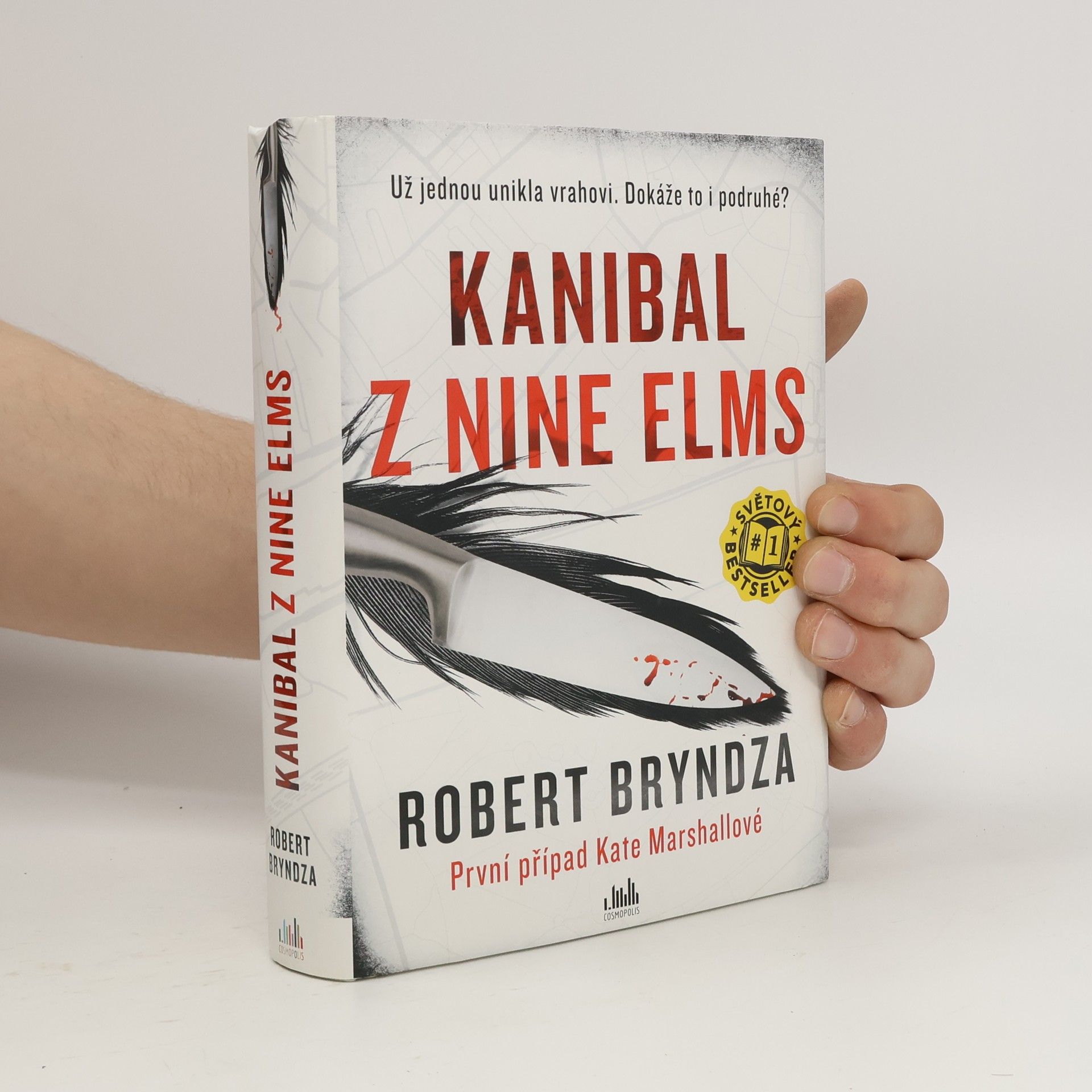 Robert Bryndza Kanibal z Nine Elms