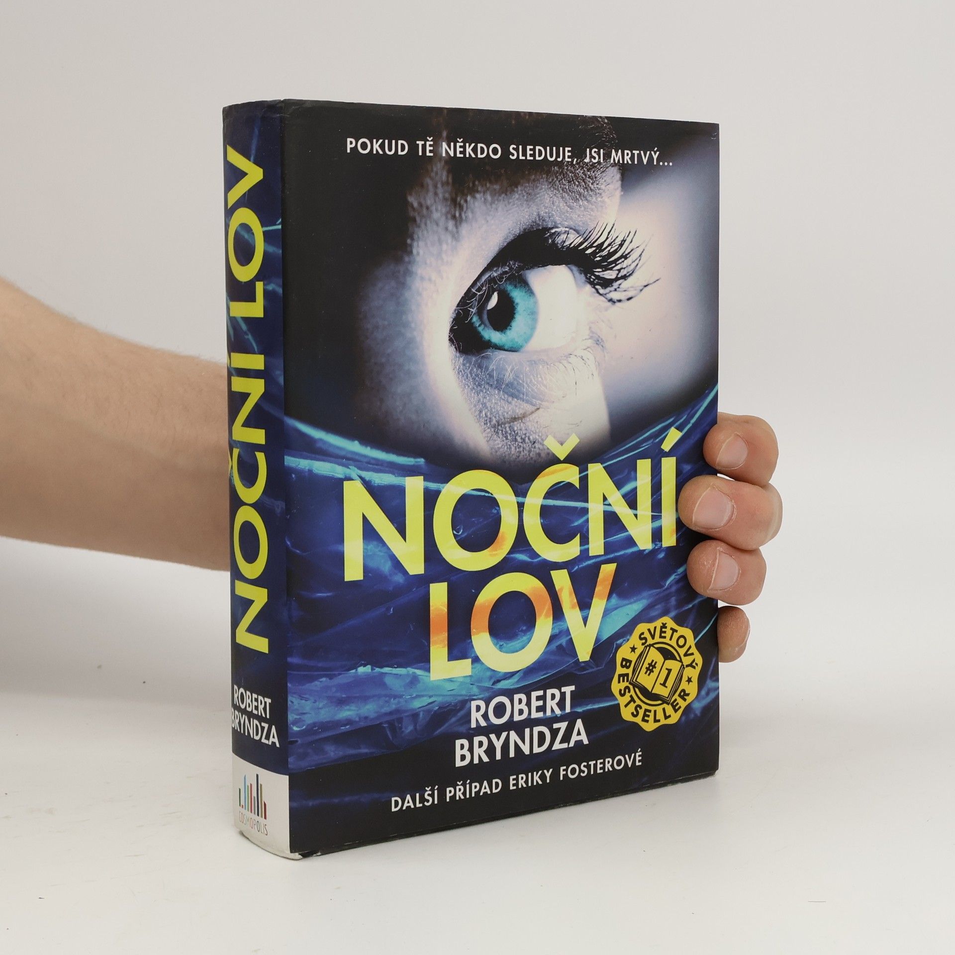 Robert Bryndza Noční lov