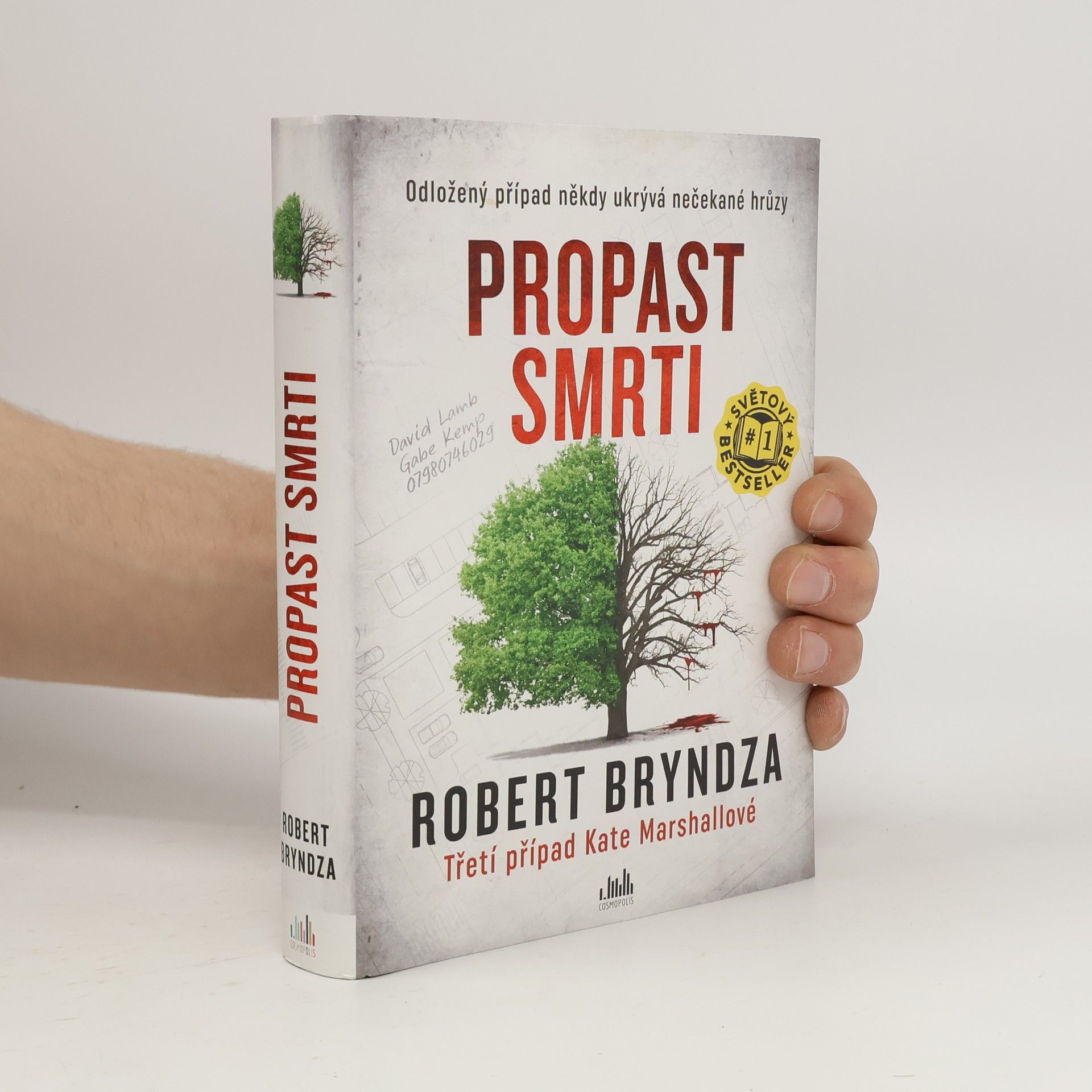 Robert Bryndza Propast smrti