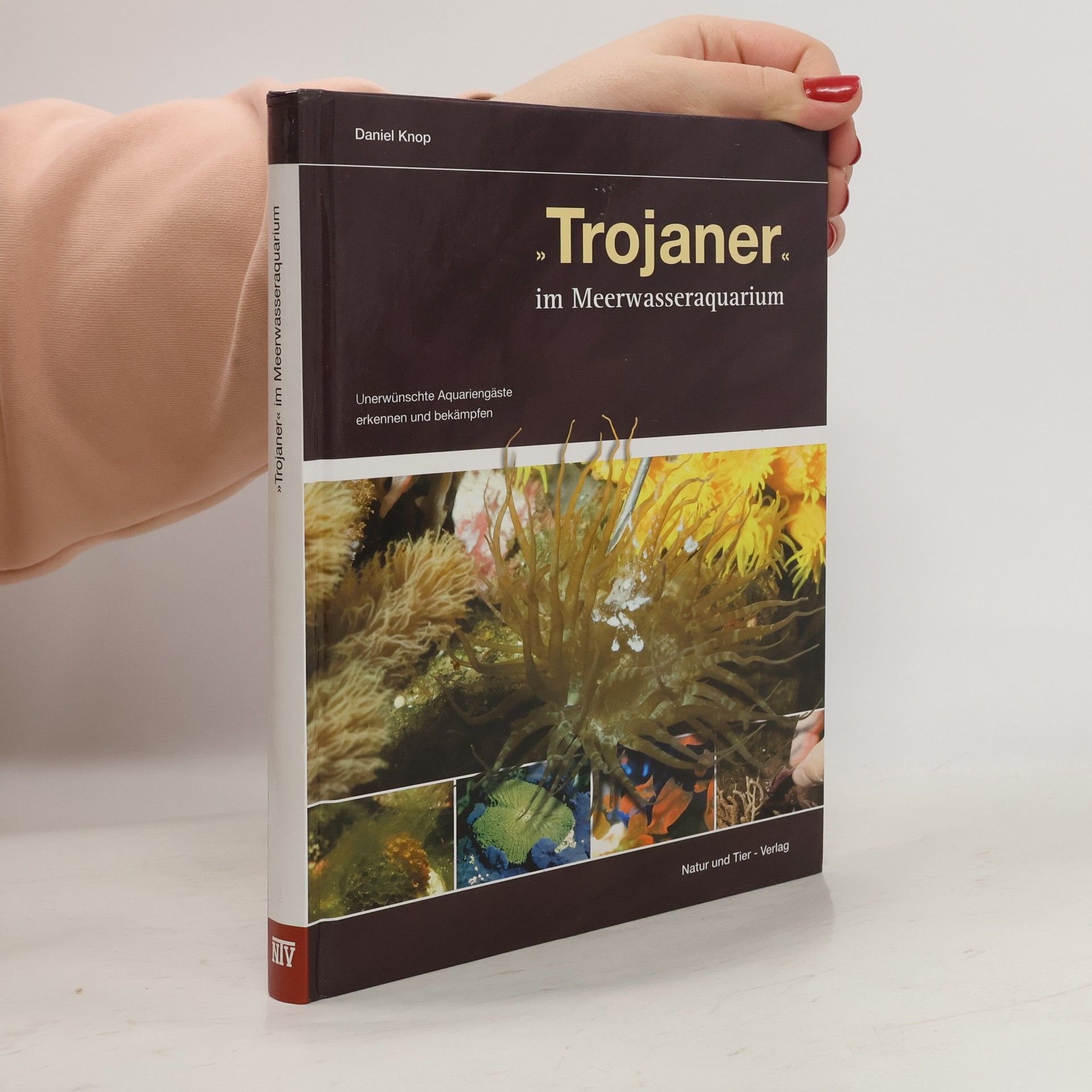 Trojaner im Meerwasseraquarium