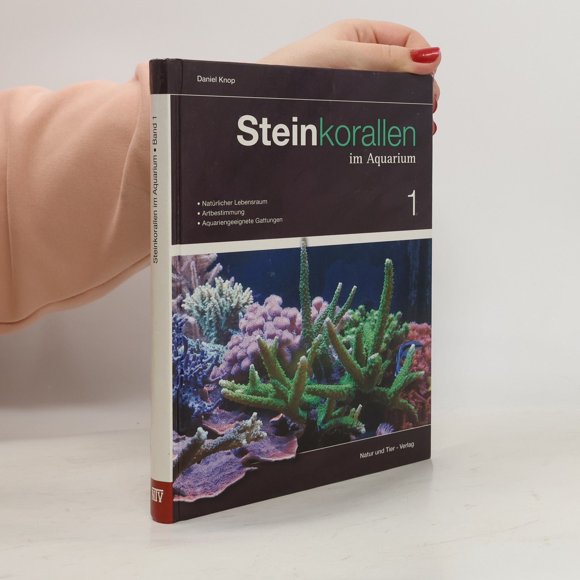 Daniel Knop Steinkorallen im Aquarium