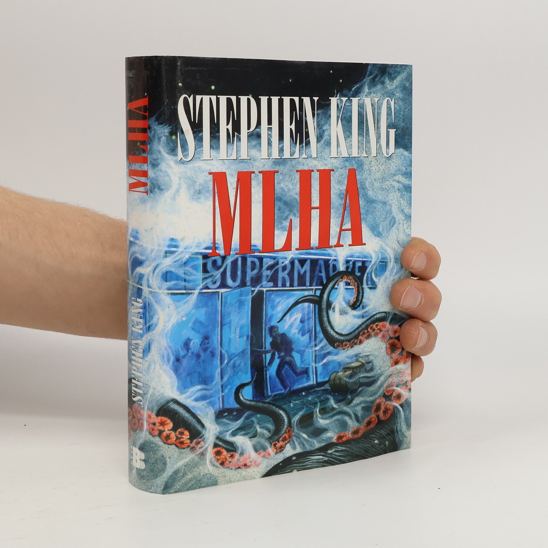 Stephen King Mlha