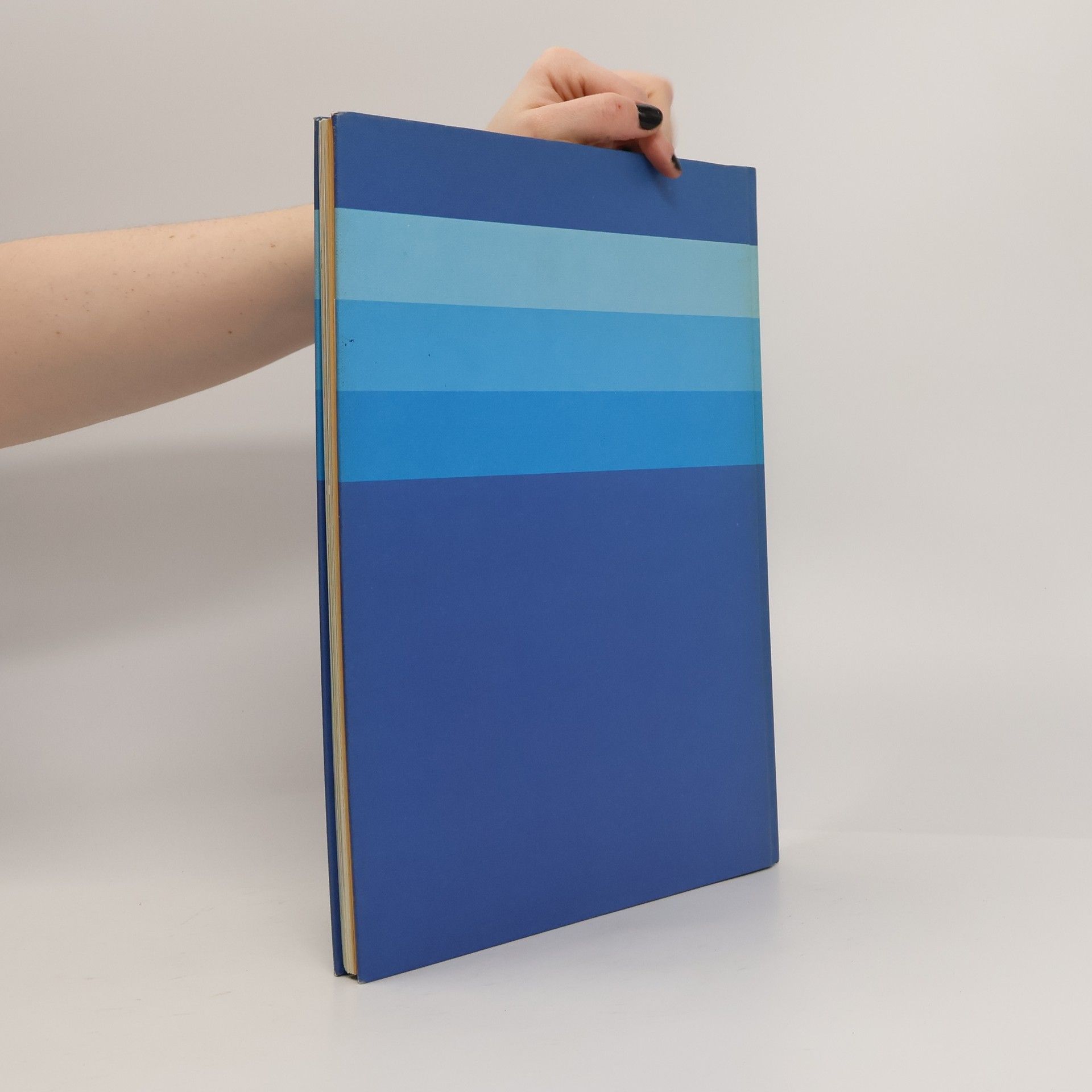 Auteurscollectief Grosses Bastelbuch