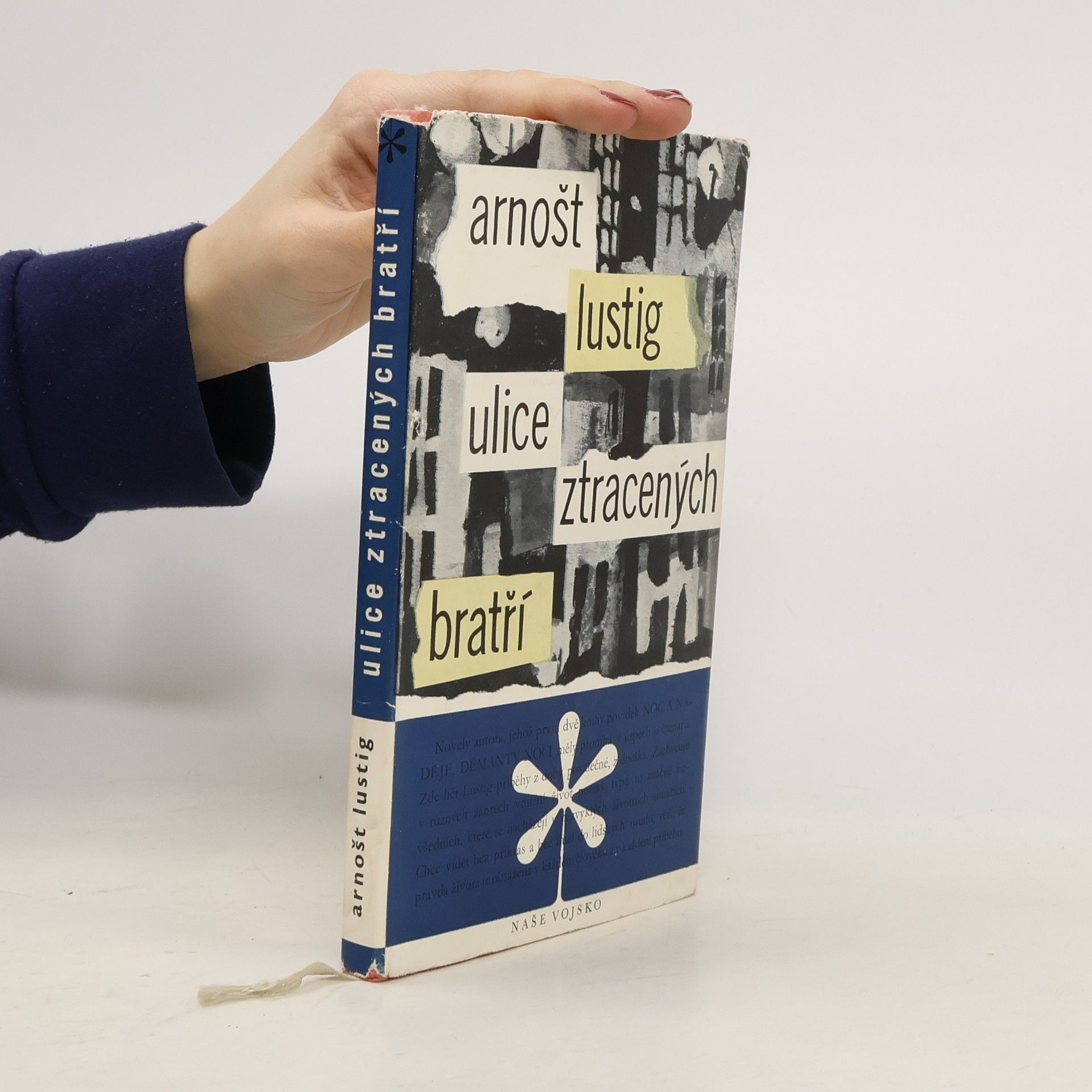 Arnošt Lustig Ulice ztracených bratří