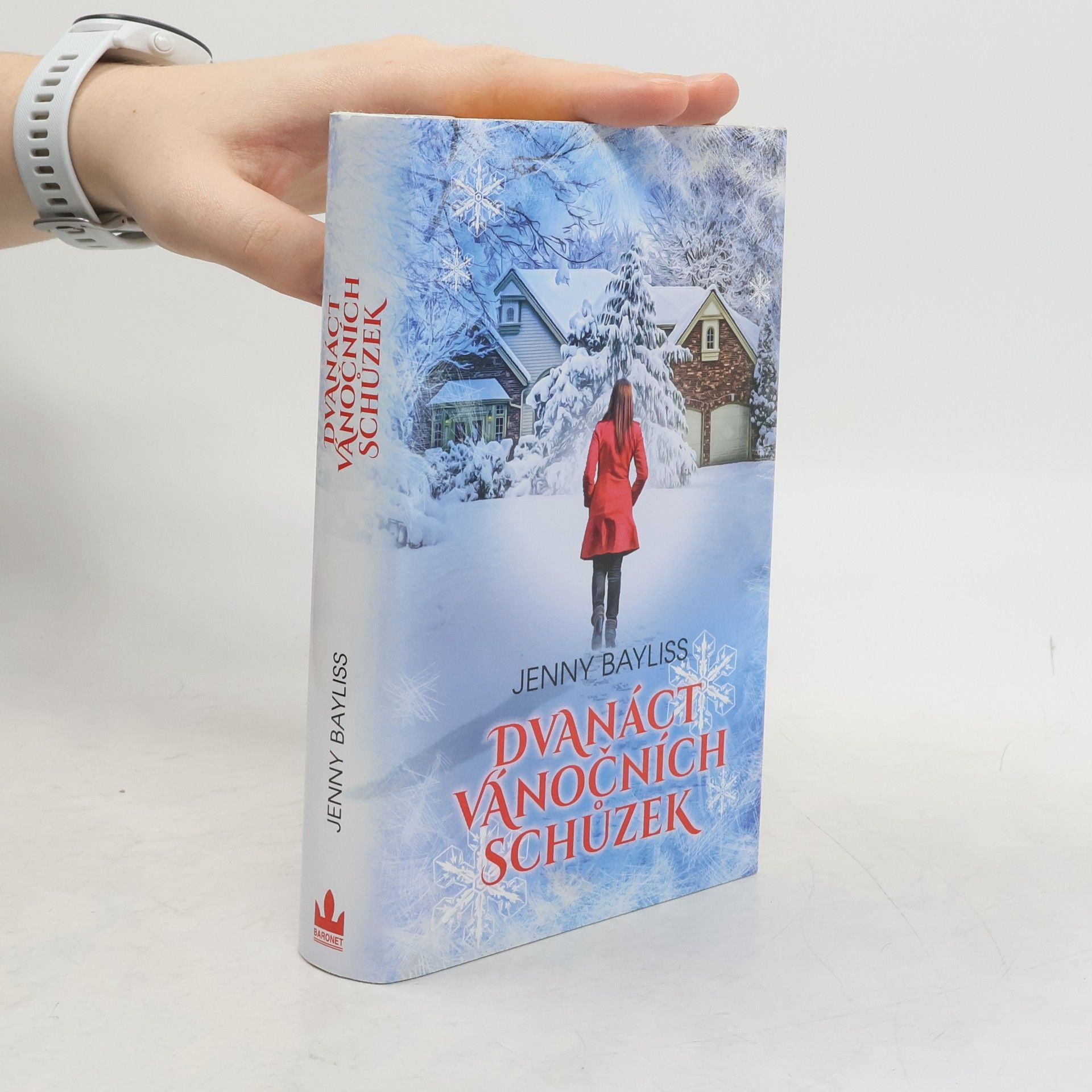 Jenny Bayliss Dvanáct vánočních schůzek