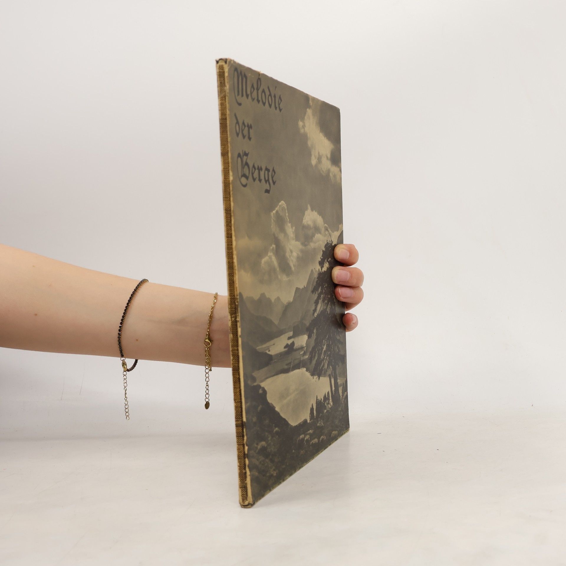 Kolektiv autorů Melodie der Berge