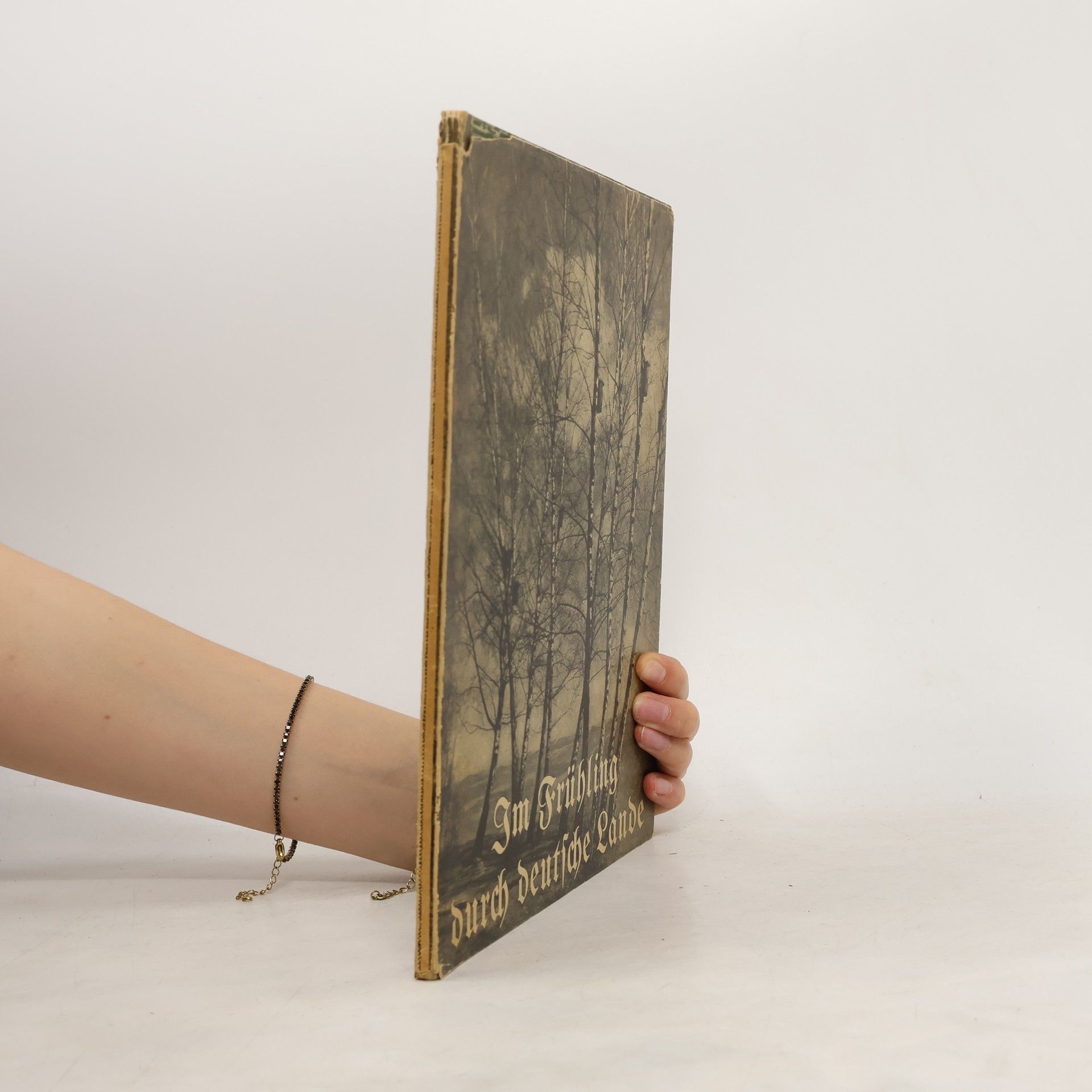 Kurt Herwarth Ball Im Frühling durch Deutsche Lande