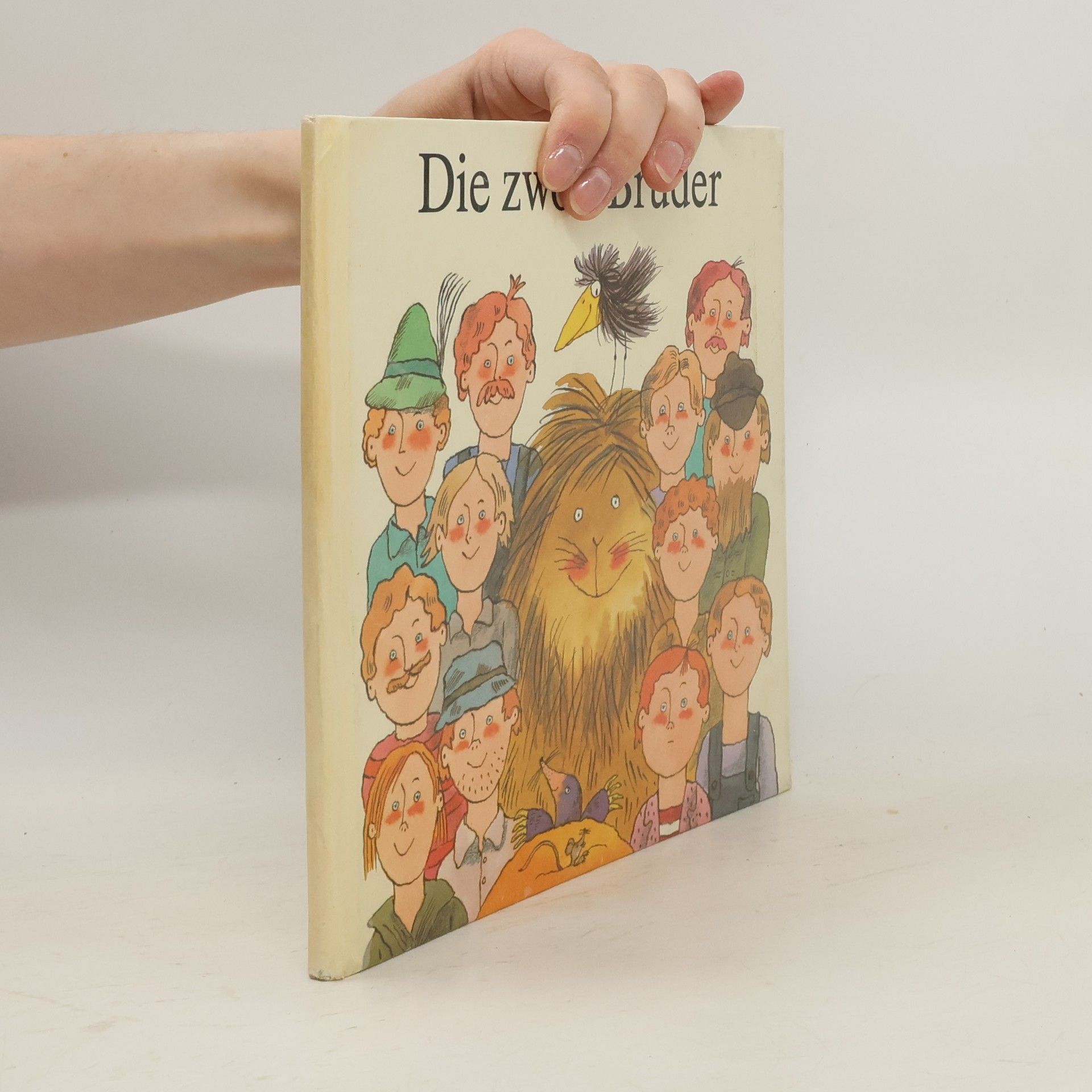 Jurij Koch Die zwölf Brüder