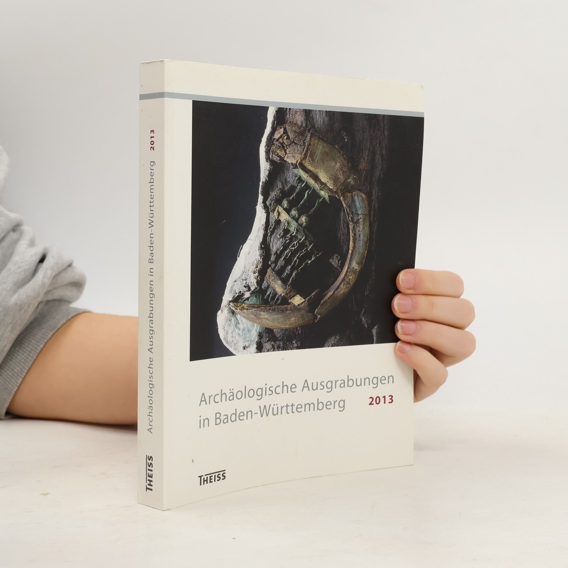 Landesamt Für Denkmalpflege Archäologische Ausgrabungen in Baden-Württemberg 2013