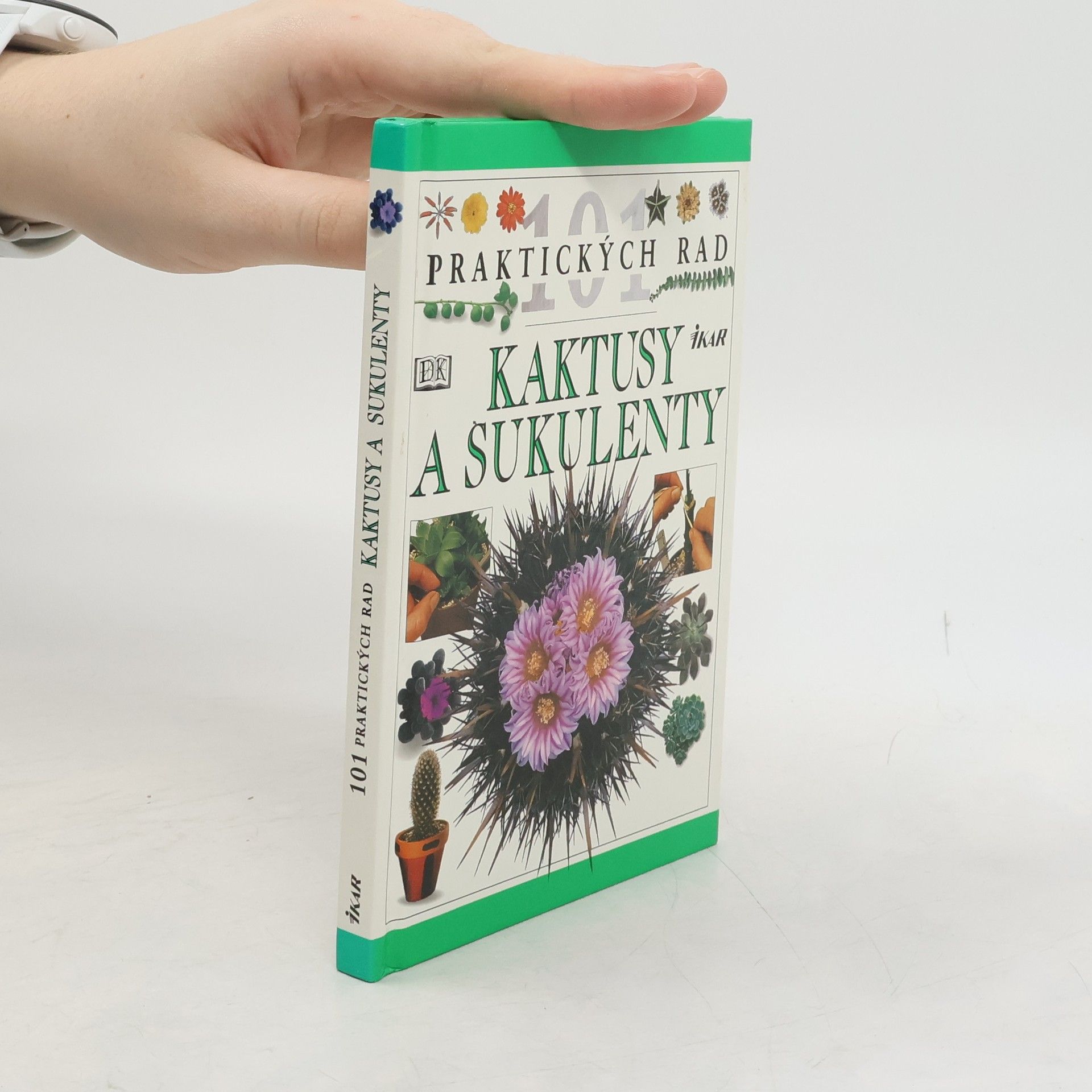 Terry Hewitt Kaktusy a sukulenty