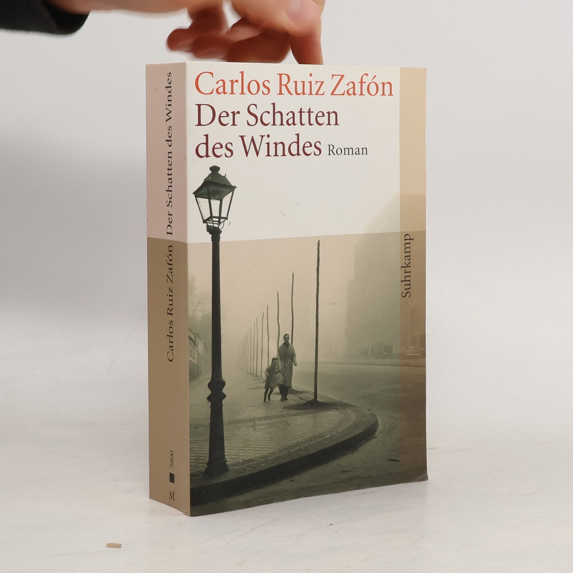 Carlos Ruiz Zafón Der Schatten des Windes