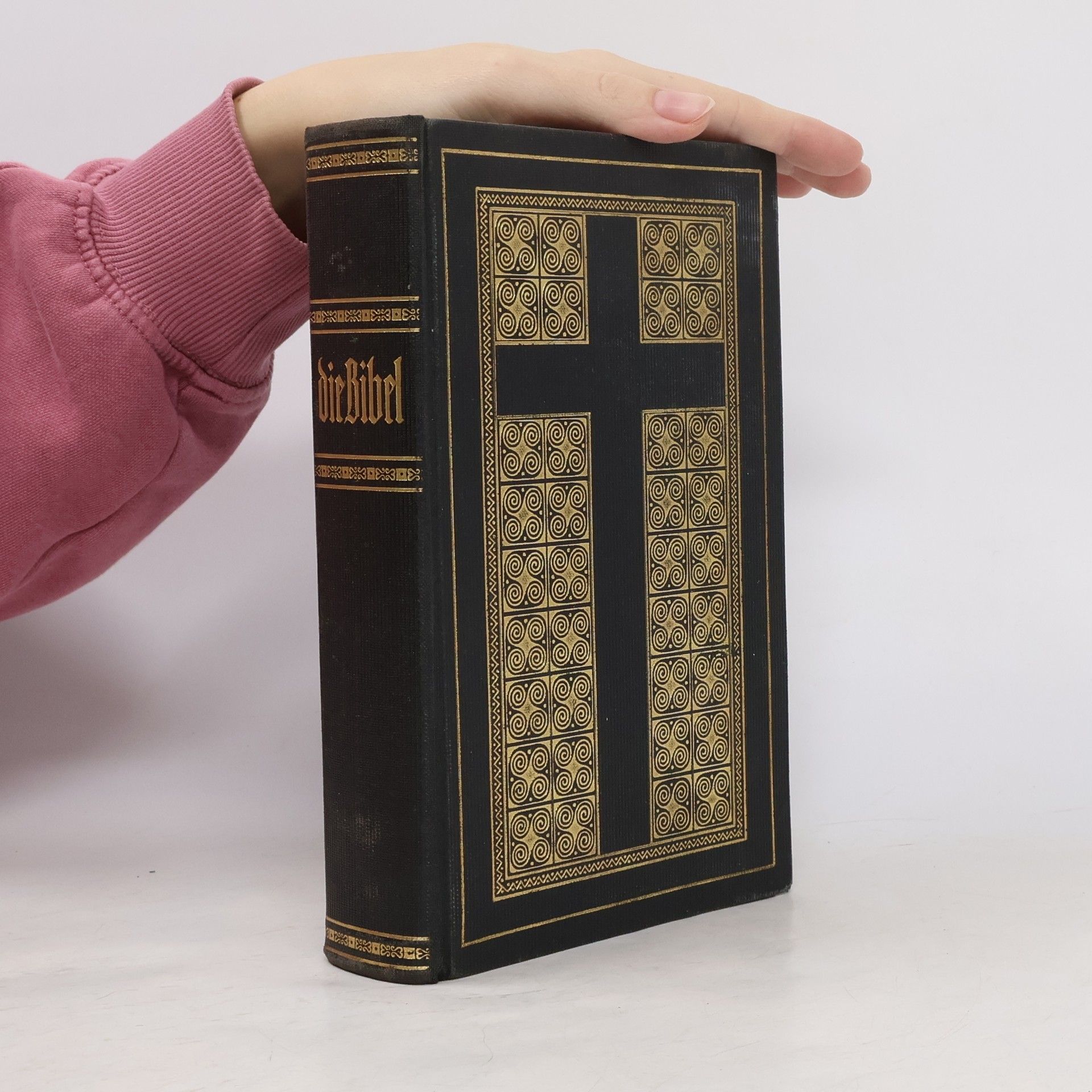 Kolektiv autorů Die Bibel
