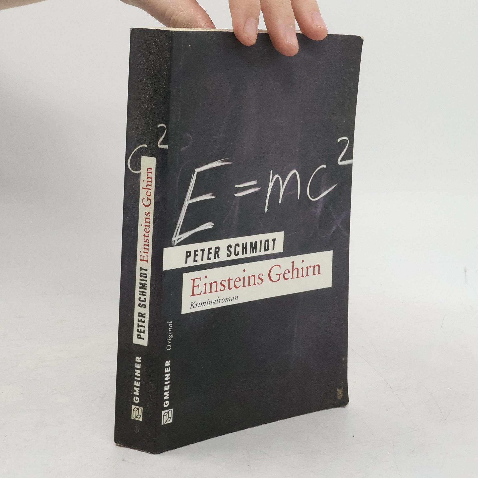 Peter Schmidt Einsteins Gehirn