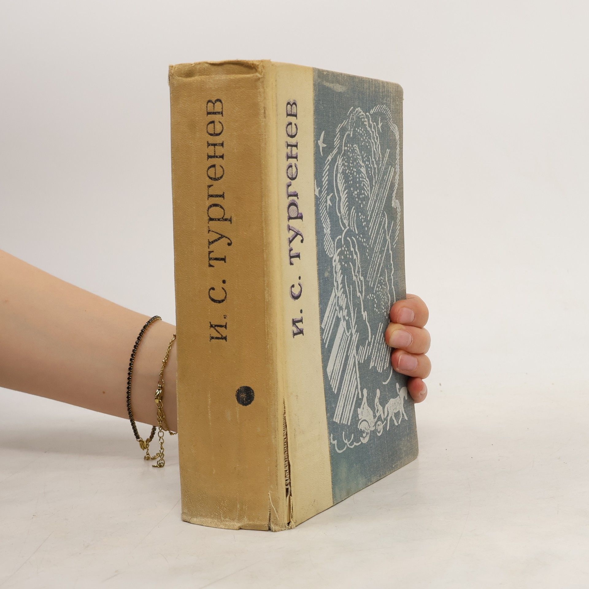 Iwan Sergejewitsch Turgenew Избранное